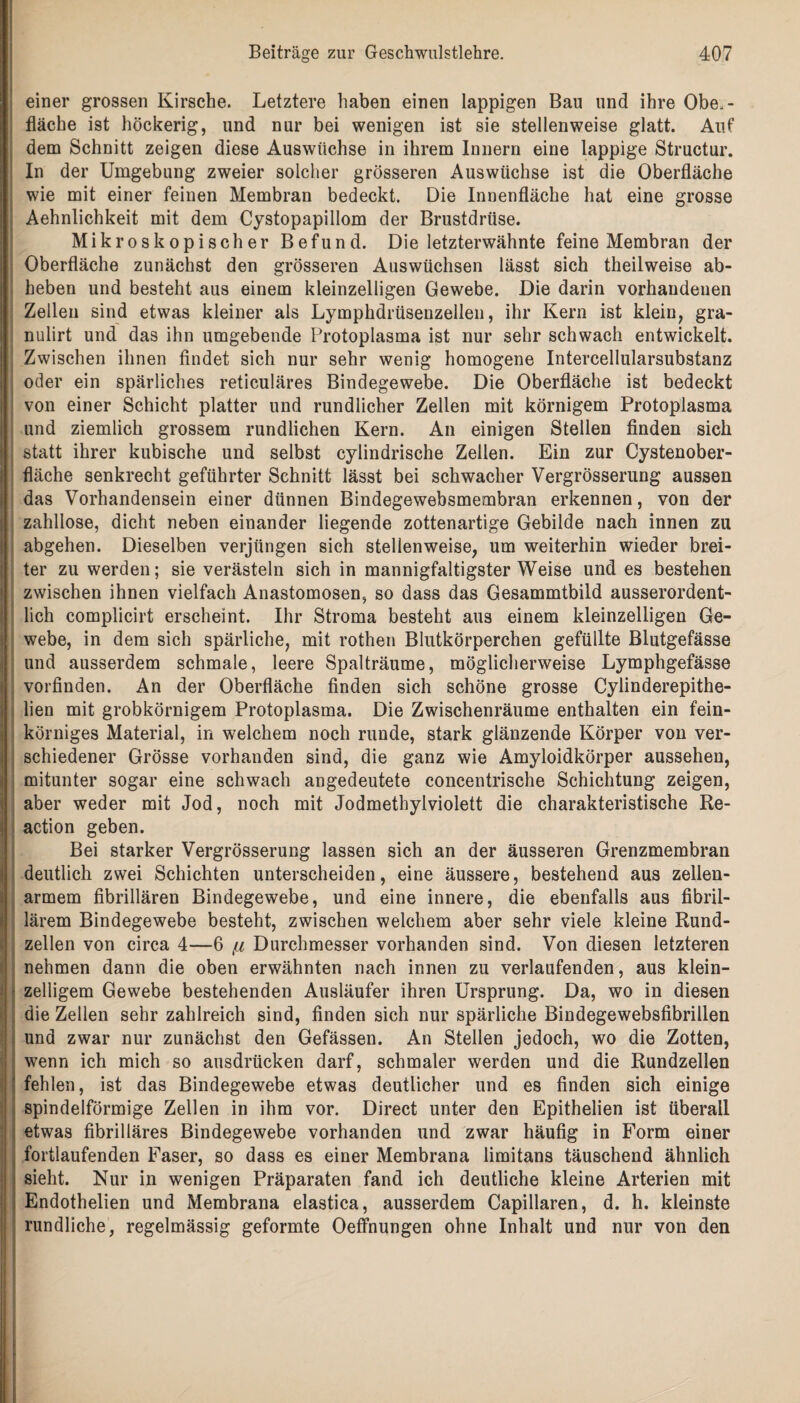 einer grossen Kirsche. Letztere haben einen lappigen Bau und ihre Obe.- fläche ist höckerig, und nur bei wenigen ist sie stellenweise glatt. Auf dem Schnitt zeigen diese Auswüchse in ihrem Innern eine lappige Structur. In der Umgebung zweier solcher grösseren Auswüchse ist die Oberfläche wie mit einer feinen Membran bedeckt. Die Innenfläche hat eine grosse Aehnlichkeit mit dem Cystopapillom der Brustdrüse. Mikroskopischer Befund. Die letzterwähnte feine Membran der Oberfläche zunächst den grösseren Auswüchsen lässt sich theilweise ab¬ heben und besteht aus einem kleinzelligen Gewebe. Die darin vorhandenen Zellen sind etwas kleiner als Lymphdrüsenzellen, ihr Kern ist klein, gra- nulirt und das ihn umgebende Protoplasma ist nur sehr schwach entwickelt. Zwischen ihnen findet sich nur sehr wenig homogene Intercellularsubstanz oder ein spärliches reticuläres Bindegewebe. Die Oberfläche ist bedeckt von einer Schicht platter und rundlicher Zellen mit körnigem Protoplasma und ziemlich grossem rundlichen Kern. An einigen Stellen finden sich : statt ihrer kubische und selbst cylindrische Zellen. Ein zur Cystenober¬ fläche senkrecht geführter Schnitt lässt bei schwacher Vergrösserung aussen das Vorhandensein einer dünnen Bindegewebsmembran erkennen, von der zahllose, dicht neben einander liegende zottenartige Gebilde nach innen zu abgehen. Dieselben verjüngen sich stellenweise, um weiterhin wieder brei- : ter zu werden; sie verästeln sich in mannigfaltigster Weise und es bestehen zwischen ihnen vielfach Anastomosen, so dass das Gesammtbild ausserordent¬ lich complicirt erscheint. Ihr Stroma besteht aus einem kleinzelligen Ge¬ webe, in dem sich spärliche, mit rothen Blutkörperchen gefüllte Blutgefässe und ausserdem schmale, leere Spalträume, möglicherweise Lymphgefässe vorfinden. An der Oberfläche finden sich schöne grosse Cylinderepithe- lien mit grobkörnigem Protoplasma. Die Zwischenräume enthalten ein fein¬ körniges Material, in welchem noch runde, stark glänzende Körper von ver¬ schiedener Grösse vorhanden sind, die ganz wie Amyloidkörper aussehen, mitunter sogar eine schwach angedeutete concentrische Schichtung zeigen, aber weder mit Jod, noch mit Jodmethylviolett die charakteristische Re- action geben. Bei starker Vergrösserung lassen sich an der äusseren Grenzmembran deutlich zwei Schichten unterscheiden, eine äussere, bestehend aus zellen¬ armem fibrillären Bindegewebe, und eine innere, die ebenfalls aus fibril¬ lärem Bindegewebe besteht, zwischen welchem aber sehr viele kleine Rund¬ zellen von circa 4—6 ß Durchmesser vorhanden sind. Von diesen letzteren nehmen dann die oben erwähnten nach innen zu verlaufenden, aus klein¬ zelligem Gewebe bestehenden Ausläufer ihren Ursprung. Da, wo in diesen die Zellen sehr zahlreich sind, finden sich nur spärliche Bindegewebsfibrillen und zwar nur zunächst den Gefässen. An Stellen jedoch, wo die Zotten, wenn ich mich so ausdrücken darf, schmaler werden und die Rundzellen ■ fehlen, ist das Bindegewebe etwas deutlicher und es finden sich einige spindelförmige Zellen in ihm vor. Direct unter den Epithelien ist überall etwas fibrilläres Bindegewebe vorhanden und zwar häufig in Form einer fortlaufenden Faser, so dass es einer Membrana limitans täuschend ähnlich sieht. Nur in wenigen Präparaten fand ich deutliche kleine Arterien mit i Endothelien und Membrana elastica, ausserdem Capillaren, d. h. kleinste rundliche, regelmässig geformte Oeffnungen ohne Inhalt und nur von den