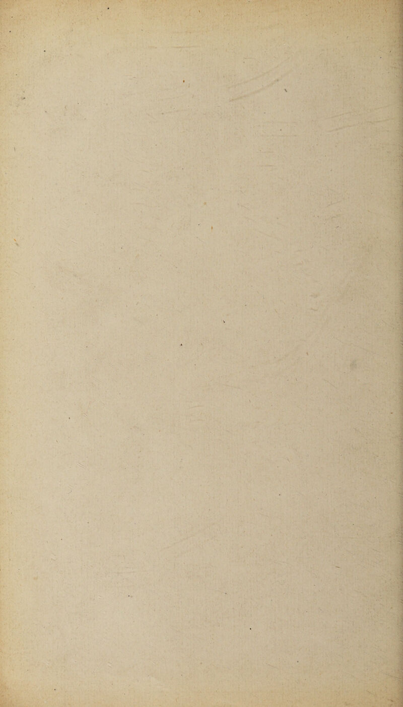 ■ .»■ , j. TS - , ,,v -i ■ ■ , ■- < » ‘ * ■ : . >, J . ' . V ' - : ■ v* /•■ S- : m- ■ /1 . v . '• - . s. : iv’ • ; , i . . ' : vw: :■ . ; i1 .