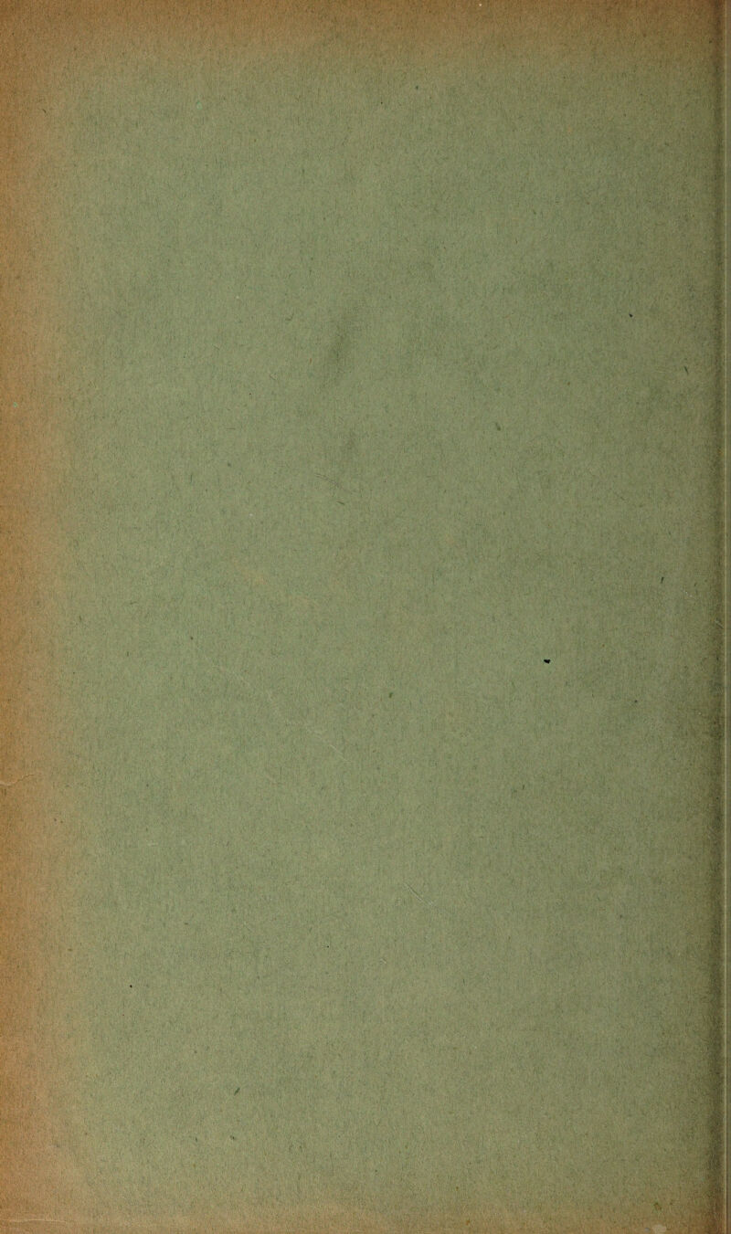 ■ '■/Æt' ■m * Jfe! ■