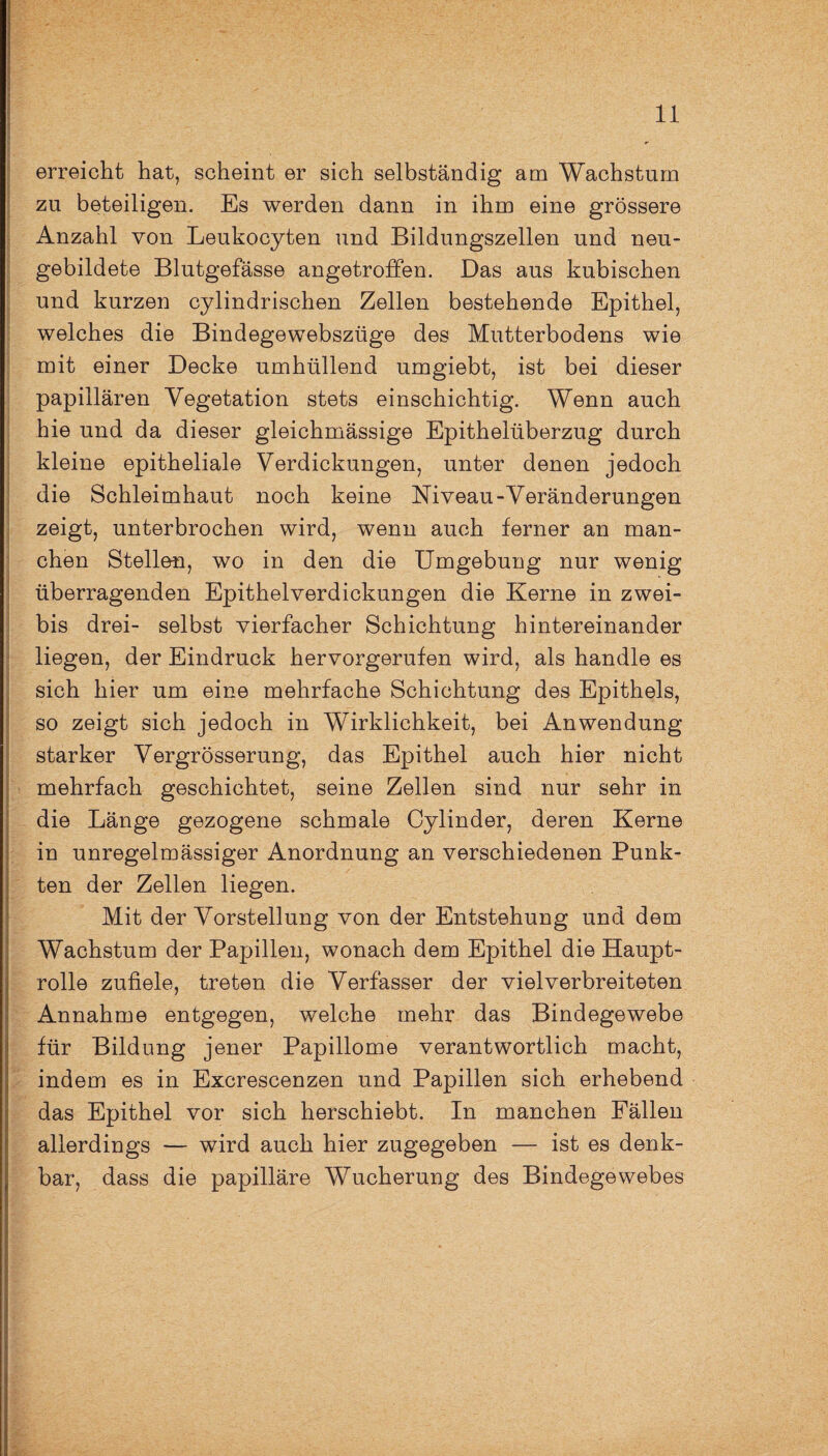 erreicht hat, scheint er sich selbständig am Wachstum zu beteiligen. Es werden dann in ihm eine grössere Anzahl von Leukocyten und Bildungszellen und neu¬ gebildete Blutgefässe angetroffen. Das aus kubischen und kurzen cylindrischen Zellen bestehende Epithel, welches die Bindegewebszüge des Mutterbodens wie mit einer Decke umhüllend umgiebt, ist bei dieser papillären Vegetation stets einschichtig. Wenn auch hie und da dieser gleichmässige Epithelüberzug durch kleine epitheliale Verdickungen, unter denen jedoch die Schleimhaut noch keine Niveau-Veränderungen zeigt, unterbrochen wird, wenn auch ferner an man¬ chen Stellen, wo in den die Umgebung nur wenig überragenden Epithelverdickungen die Kerne in zwei- bis drei- selbst vierfacher Schichtung hintereinander liegen, der Eindruck hervorgerufen wird, als handle es sich hier um eine mehrfache Schichtung des Epithels, so zeigt sich jedoch in Wirklichkeit, bei Anwendung starker Vergrösserung, das Epithel auch hier nicht mehrfach geschichtet, seine Zellen sind nur sehr in die Länge gezogene schmale Cylinder, deren Kerne in unregelmässiger Anordnung an verschiedenen Punk¬ ten der Zellen liegen. Mit der Vorstellung von der Entstehung und dem Wachstum der Papillen, wonach dem Epithel die Haupt¬ rolle zufiele, treten die Verfasser der viel verbreiteten Annahme entgegen, welche mehr das Bindegewebe für Bildung jener Papillome verantwortlich macht, indem es in Excrescenzen und Papillen sich erhebend das Epithel vor sich herschiebt. In manchen Fällen allerdings — wird auch hier zugegeben — ist es denk¬ bar, dass die papilläre Wucherung des Bindegewebes