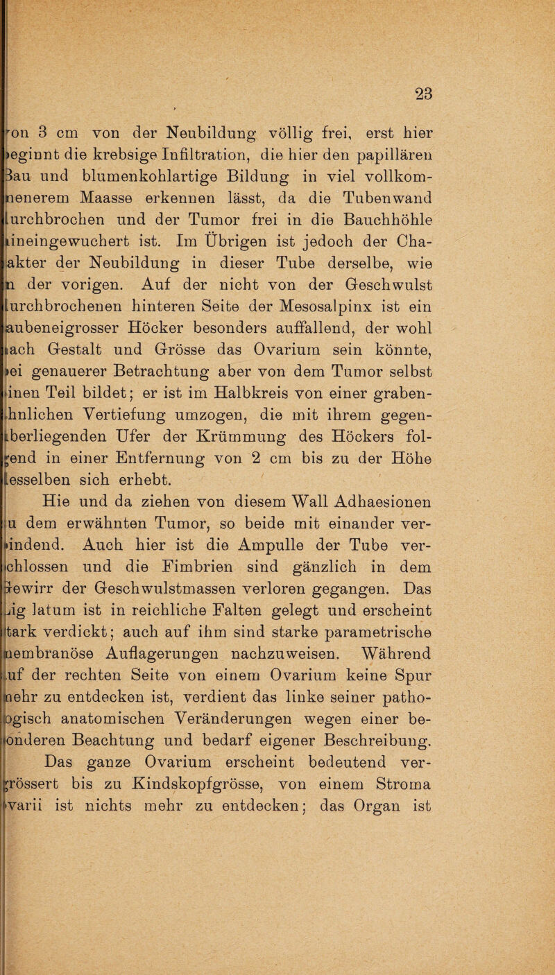 28 ron 8 cm von der Neubildung völlig frei, erst hier geginnt die krebsige Infiltration, die hier den papillären Bau und blumenkohlartige Bildung in viel vollkom- nenerem Maasse erkennen lässt, da die Tubenwand lurchbrocken und der Tumor frei in die Bauchhöhle lineingewuchert ist. Im Übrigen ist jedoch der Cha- ;akter der Neubildung in dieser Tube derselbe, wie n der vorigen. Auf der nicht von der Geschwulst lurchbrochenen hinteren Seite der Mesosalpinx ist ein aubeneigrosser Höcker besonders auffallend, der wohl nach Gestalt und Grösse das Ovarium sein könnte, jei genauerer Betrachtung aber von dem Tumor selbst dnen Teil bildet; er ist im Halbkreis von einer graben- hnlichen Vertiefung umzogen, die mit ihrem gegen¬ überliegenden Ufer der Krümmung des Höckers fol¬ gend in einer Entfernung von 2 cm bis zu der Höhe lesseiben sich erhebt. Hie und da ziehen von diesem Wall Adhaesionen u dem erwähnten Tumor, so beide mit einander ver¬ windend. Auch hier ist die Ampulle der Tube ver¬ schlossen und die Fimbrien sind gänzlich in dem fewirr der Geschwulstmassen verloren gegangen. Das jig latum ist in reichliche Falten gelegt und erscheint itark verdickt; auch auf ihm sind starke parametrische nembranöse Auflagerungen nachzuweisen. Während ,uf der rechten Seite von einem Ovarium keine Spur joehr zu entdecken ist, verdient das linke seiner patho- logisch anatomischen Veränderungen wegen einer be¬ sonderen Beachtung und bedarf eigener Beschreibung. Das ganze Ovarium erscheint bedeutend ver- jrössert bis zu Kindskopfgrösse, von einem Stroma varii ist nichts mehr zu entdecken; das Organ ist