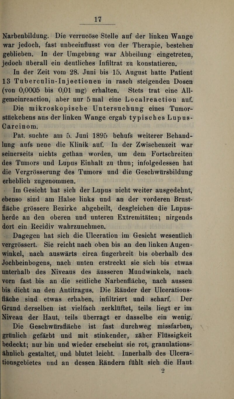 Narbenbildung. Die verrucöse Stelle auf der linken Wange war jedoch, fast unbeeinflusst von der Therapie, bestehen geblieben. In der Umgebung war Abheilung eingetreten, jedoch überall ein deutliches Infiltrat zu konstatieren. In der Zeit vom 28. Juni bis 15. August hatte Patient 13 Tuberculin-Injectionen in rasch steigenden Dosen (von 0,0005 bis 0,01 mg) erhalten. Stets trat eine All- gemeinreaction, aber nur 5mal eine Localreaction auf. Die mikroskopische Untersuchung eines Tumor¬ stückchens aus der linken Wange ergab typisches Lupus- Carcinom. Pat. suchte am 5. Juni 1895 behufs weiterer Behand¬ lung aufs neue die Klinik auf. In der Zwischenzeit war seinerseits nichts gethan worden, um dem Fortschreiten j des Tumors und Lupus Einhalt zu thun; infolgedessen hat die Vergrösserung des Tumors und die Geschwürsbildung erheblich zugenommen. Im Gesicht hat sich der Lupus nicht weiter ausgedehnt, ebenso sind am Halse links und an der vorderen Brust« fläche grössere Bezirke abgeheilt, desgleichen die Lupus¬ herde an den oberen und unteren Extremitäten; nirgends dort ein Recidiv wahrzunehmen. Dagegen hat sich die Ulceration im Gesicht wesentlich vergrössert. Sie reicht nach oben bis an den linken Augen¬ winkel, nach auswärts circa fingerbreit bis oberhalb des Jochbeinbogens, nach unten erstreckt sie sich bis etwas unterhalb des Niveaus des äusseren Mundwinkels, nach vorn fast bis an die seitliche Narbenfläche, nach aussen bis dicht an den Antitragus. Die Ränder der Ulcerations- fläche sind etwas erhaben, infiltriert und scharf. Der Grund derselben ist vielfach zerklüftet, teils liegt er im Niveau der Haut, teils überragt er dasselbe ein wenig. Die Geschwürsfläche ist fast durchweg missfarben, grünlich gefärbt und mit stinkender, zäher Flüssigkeit bedeckt; nur hin und wieder erscheint sie rot, granulations¬ ähnlich gestaltet, und blutet leicht. Innerhalb des Ulcera- tionsgebietes und an dessen Rändern fühlt sich die Haut 2