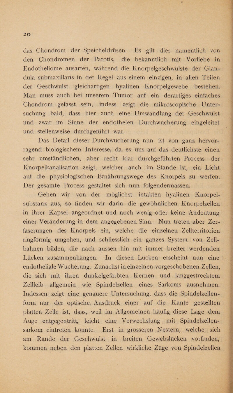 das Chondrom der Speicheldrüsen. Es gilt dies namentlich von den Chondromen der Parotis, die bekanntlich mit Vorliebe in Endotheliome ausarten, während die Knorpelgeschwülste der Glan¬ dula submaxillaris in der Regel aus einem einzigen, in allen Teilen der Geschwulst gleichartigen hyalinen Knorpelgewebe bestehen. Man muss auch bei unserem Tumor auf ein derartiges einfaches Chondrom gefasst sein, indess zeigt die mikroscopische Unter¬ suchung bald, dass hier auch eine Umwandlung der Geschwulst und zwar im Sinne der endothelen Durchwucherung eingeleitet und stellenweise durchgeführt war. Das Detail dieser Durchwucherung nun ist von ganz hervor¬ ragend biologischem Interesse, da es uns auf das deutlichste einen sehr umständlichen, aber recht klar durchgeführten Process der Knorpelkanalisation zeigt, welcher auch im Stande ist, ein Licht auf die physiologischen Ernährungswege des Knorpels zu werfen. Der gesamte Process gestaltet sich nun folgendermassen. Gehen wir von der möglichst intakten hyalinen Knorpel¬ substanz aus, so finden wir darin die gewöhnlichen Knorpelzellen in ihrer Kapsel angeordnet und noch wenig oder keine Andeutung einer Veränderung in dem angegebenen Sinn. Nun treten aber Zer¬ faserungen des Knorpels ein, welche die einzelnen Zellterritorien ringförmig umgehen, und schliesslich ein ganzes System von Zell¬ bahnen bilden, die nach aussen hin mit immer breiter werdenden Lücken Zusammenhängen. In diesen Lücken erscheint nun eine endotheliale Wucherung. Zunächst in einzelnen vorgeschobenen Zellen, die sich mit ihren dunkelgefärbten Kernen und langgestrecktem Zellleib allgemein wie Spindelzellen eines Sarkoms ausnehmen. Indessen zeigt eine genauere Untersuchung, dass die Spindelzellen¬ form nur der optische. Ausdruck einer auf die Kante gestellten platten Zelle ist, dass, weil im Allgemeinen häufig diese Lage dem Auge entgegen tritt, leicht eine Verwechslung mit Spindelzellen¬ sarkom eintreten könnte. Erst in grösseren Nestern, welche sich am Rande der Geschwulst in breiten Gewebslücken vorfinden, kommen neben den platten Zellen wirkliche Züge von Spindelzellen