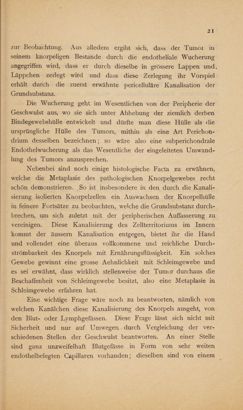 zur Beobachtung. Aus alledem ergibt sich, dass der Tumor in seinem knorpeligen Bestände durch die endotheliale Wucherung angegriffen wird, dass er durch dieselbe in grössere Lappen und, Läppchen zerlegt wird und dass diese Zerlegung ihr Vorspiel erhält durch die zuerst erwähnte pericelluläre Kanalisation der Grundsubstanz. Die Wucherung geht im Wesentlichen von der Peripherie der Geschwulst aus, wo sie sich unter Abhebung der ziemlich derben Bindegewebshülle entwickelt und dürfte man diese Hülle als die ursprüngliche Hülle des Tumors, mithin als eine Art Perichon- drium desselben bezeichnen; so wäre also eine subperichondrale Endothelwucherung als das Wesentliche der eingeleiteten Umwand¬ lung des Tumors anzusprechen. Nebenbei sind noch einige histologische Facta zu erwähnen, welche die Metaplasie des pathologischen Knorpelgewebes recht schön demonstrieren. So ist insbesondere in den durch die Kanali¬ sierung isolierten Knorpelzellen ein Auswachsen der Knorpelhülle in feinere Fortsätze zu beobachten, welche die Grundsubstanz durch¬ brechen, um sich zuletzt mit der peripherischen Auffasserung zu vereinigen. Diese Kanalisierung des Zellterritoriums im Innern kommt der äussern Kanalisation entgegen, bietet ihr die Hand und vollendet eine überaus vollkommene und reichliche Durch- strömbarkeit des Knorpels mit Ernährungsflüssigkeit. Ein solches Gewebe gewinnt eine grosse Aehnlichkeit mit Schleimgewebe und es sei erwähnt, dass wirklich stellenweise der Tumor durchaus die Beschaffenheit von Schleimgewebe besitzt, also eine Metaplasie in Schleimgewebe erfahren hat. Eine wichtige Frage wäre noch zu beantworten, nämlich von welchen Kanälchen diese Kanalisierung des Knorpels ausgeht, von den Blut- oder Lymphgefässen. Diese Frage lässt sich nicht mit Sicherheit und nur auf Umwegen durch Vergleichung der ver¬ schiedenen Stellen der Geschwulst beantworten. An einer Stelle sind ganz unzweifelhaft Blutgefässe in Form von sehr weiten endothelbelegten Capillaren vorhanden; dieselben sind von einem