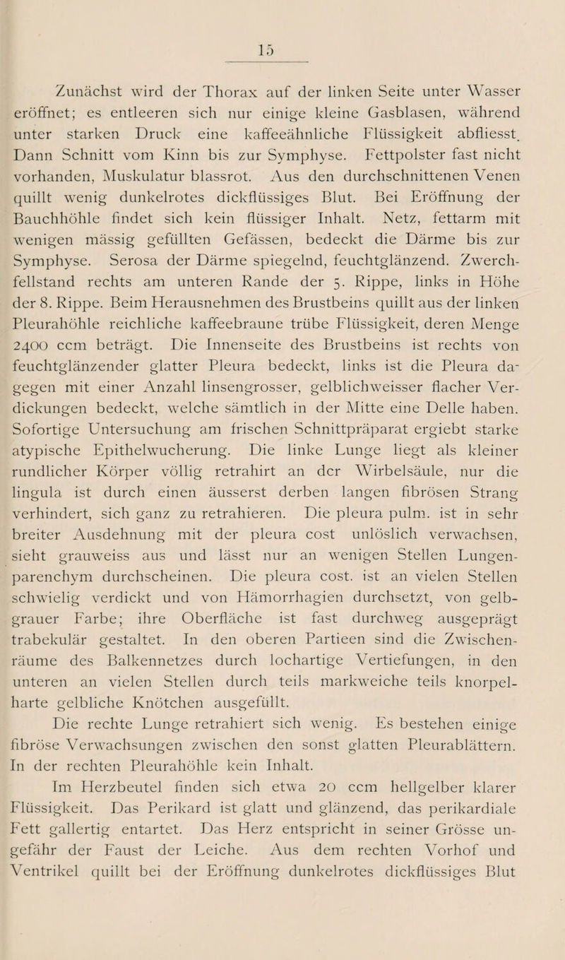 Zunächst wird der Thorax auf der linken Seite unter Wasser eröffnet; es entleeren sich nur einige kleine Gasblasen, während unter starken Druck eine kaffeeähnliche Flüssigkeit abfliesst. Dann Schnitt vom Kinn bis zur Symphyse. Fettpolster fast nicht vorhanden, Muskulatur blassrot. Aus den durchschnittenen Venen quillt wenig dunkelrotes dickflüssiges Blut. Bei Eröffnung der Bauchhöhle findet sich kein flüssiger Inhalt. Netz, fettarm mit wenigen mässig gefüllten Gefässen, bedeckt die Därme bis zur Symphyse. Serosa der Därme spiegelnd, feuchtglänzend. Zwerch¬ fellstand rechts am unteren Rande der 5. Rippe, links in Höhe der 8. Rippe. Beim Herausnehmen des Brustbeins quillt aus der linken Pleurahöhle reichliche kaffeebraune trübe Flüssigkeit, deren Menge 2400 ccm beträgt. Die Innenseite des Brustbeins ist rechts von feuchtglänzender glatter Pleura bedeckt, links ist die Pleura da¬ gegen mit einer Anzahl linsengrosser, gelblichweisser flacher Ver¬ dickungen bedeckt, welche sämtlich in der Mitte eine Delle haben. Sofortige Untersuchung am frischen Schnittpräparat ergiebt starke atypische Epithelwucherung. Die linke Lunge liegt als kleiner rundlicher Körper völlig retrahirt an der Wirbelsäule, nur die lingula ist durch einen äusserst derben langen fibrösen Strang verhindert, sich ganz zu retrahieren. Die pleura pulm. ist in sehr breiter Ausdehnung mit der pleura cost unlöslich verwachsen, sieht grauweiss aus und lässt nur an wenigen Stellen Lungen¬ parenchym durchscheinen. Die pleura cost. ist an vielen Stellen schwielig verdickt und von Hämorrhagien durchsetzt, von gelb¬ grauer Farbe; ihre Oberfläche ist fast durchweg ausgeprägt trabekulär gestaltet. In den oberen Partieen sind die Zwischen¬ räume des Balkennetzes durch lochartige Vertiefungen, in den unteren an vielen Stellen durch teils markweiche teils knorpel¬ harte gelbliche Knötchen ausgefüllt. Die rechte Lunge retrahiert sich wenig. Es bestehen einige fibröse Verwachsungen zwischen den sonst glatten Pleurablättern. In der rechten Pleurahöhle kein Inhalt. Im Herzbeutel finden sich etwa 20 ccm hellgelber klarer Flüssigkeit. Das Perikard ist glatt und glänzend, das perikardiale Fett gallertig entartet. Das Herz entspricht in seiner Grösse un¬ gefähr der Faust der Leiche. Aus dem rechten Vorhof und Ventrikel quillt bei der Eröffnung dunkelrotes dickflüssiges Blut