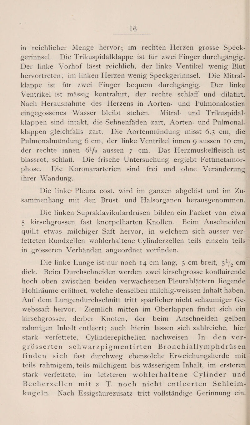in reichlicher Menge hervor; im rechten Herzen grosse Speck¬ gerinnsel. Die Trikuspidalklappe ist für zwei Finger durchgängig. Der linke Vorhof lässt reichlich, der linke Ventikel wenig Blut hervortreten; im linken Herzen wenig Speckgerinnsel. Die Mitral¬ klappe ist für zwei Finger bequem durchgängig. Der linke Ventrikel ist mässig kontrahirt, der rechte schlaff und dilatirt. Nach Herausnahme des Herzens in Aorten- und Pulmonalostien eingegossenes Wasser bleibt stehen. Mitral- und Trikuspidal- klappen sind intakt, die Sehnenfäden zart, Aorten- und Pulmonal¬ klappen gleichfalls zart. Die Aortenmündung misst 6,3 cm, die Pulmonalmündung 6 cm, der linke Ventrikel innen 9 aussen IO cm, der rechte innen 61/2 aussen 7 cm. Das Herzmuskelfleisch ist blassrot, schlaff. Die frische Untersuchung ergiebt Fettmetamor¬ phose. Die Koronararterien sind frei und ohne Veränderung ihrer Wandung. Die linke Pleura cost. wird im ganzen abgelöst und im Zu¬ sammenhang mit den Brust- und Halsorganen herausgenommen. Die linken Supraklavikulardrüsen bilden ein Packet von etwa 5 kirschgrossen fast knorpelharten Knollen. Beim Anschneiden quillt etwas milchiger Saft hervor, in welchem sich ausser ver¬ fetteten Rundzellen wohlerhaltene Cylinderzellen teils einzeln teils in grösseren Verbänden angeordnet vorfinden. Die linke Lunge ist nur noch 14 cm lang, 5 cm breit, 51/2 cm dick. Beim Durchschneiden werden zwei kirschgrosse konfluirende hoch oben zwischen beiden verwachsenen Pleurablättern liegende Hohlräume eröffnet, welche denselben milchig-weissen Inhalt haben. Auf dem Lungendurchschnitt tritt spärlicher nicht schaumiger Ge- webssaft hervor. Ziemlich mitten im Oberlappen findet sich ein kirschgrosser, derber Knoten, der beim Anschneiden gelben rahmigen Inhalt entleert; auch hierin lassen sich zahlreiche, hier stark verfettete, Cylinderepithelien nachweisen. In den ver- grösserten schwarzpigmentirten Bronchiallymphdrüsen finden sich fast durchweg ebensolche Erweichungsherde mit teils rahmigem, teils milchigem bis wässerigem Inhalt, im ersteren stark verfettete, im letzteren wohlerhaltene Cylinder und Becherzellen mit z. T. noch nicht entleerten Schleim¬ kugeln. Nach Essigsäurezusatz tritt vollständige Gerinnung ein.