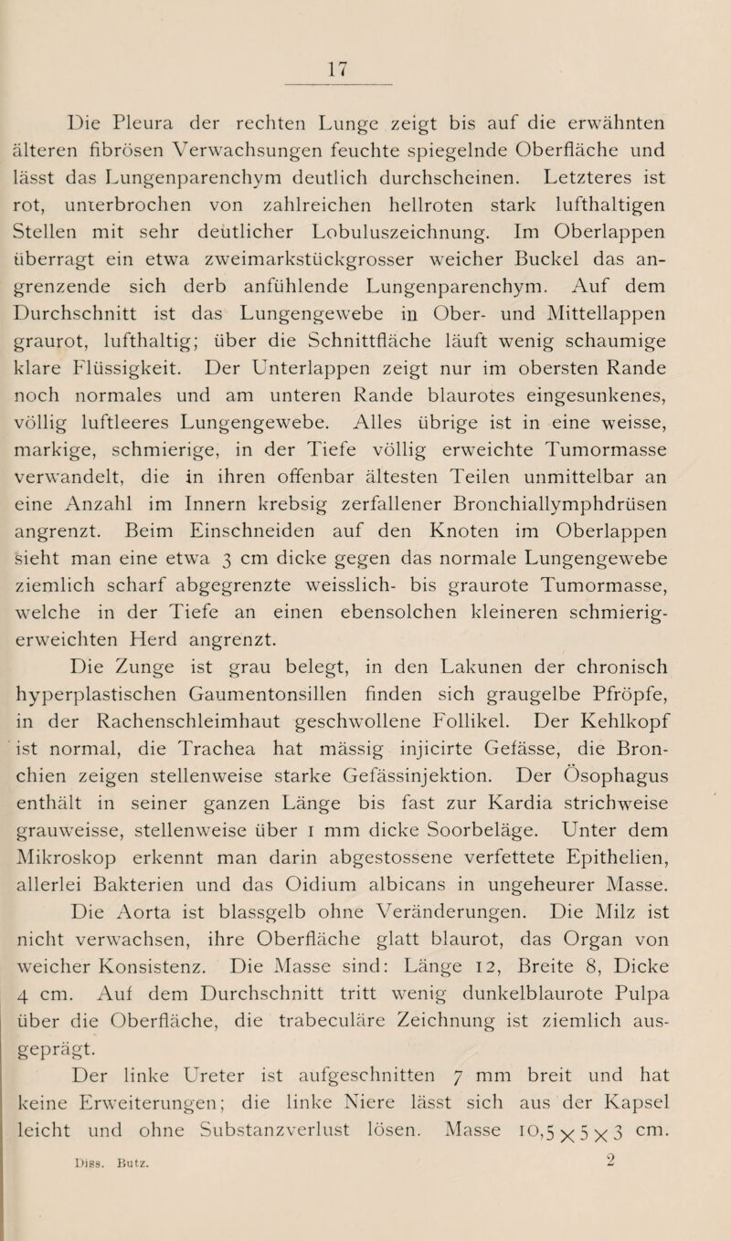 Die Pleura der rechten Lunge zeigt bis auf die erwähnten älteren fibrösen Verwachsungen feuchte spiegelnde Oberfläche und lässt das Lungenparenchym deutlich durchscheinen. Letzteres ist rot, unterbrochen von zahlreichen hellroten stark lufthaltigen Stellen mit sehr deutlicher Lobuluszeichnung. Im Oberlappen überragt ein etwa zweimarkstückgrosser weicher Buckel das an¬ grenzende sich derb anfühlende Lungenparenchym. Auf dem Durchschnitt ist das Lungengewebe in Ober- und Mittellappen graurot, lufthaltig; über die Schnittfläche läuft wenig schaumige klare Flüssigkeit. Der Unterlappen zeigt nur im obersten Rande noch normales und am unteren Rande blaurotes eingesunkenes, völlig luftleeres Lungengewebe. Alles übrige ist in eine weisse, markige, schmierige, in der Tiefe völlig erweichte Tumormasse verwandelt, die in ihren offenbar ältesten Teilen unmittelbar an eine Anzahl im Innern krebsig zerfallener Bronchiallymphdrüsen angrenzt. Beim Einschneiden auf den Knoten im Oberlappen sieht man eine etwa 3 cm dicke gegen das normale Lungengewebe ziemlich scharf abgegrenzte weisslich- bis graurote Tumormasse, welche in der Tiefe an einen ebensolchen kleineren schmierig¬ erweichten Herd angrenzt. Die Zunge ist grau belegt, in den Lakunen der chronisch hyrperplastischen Gaumentonsillen finden sich graugelbe Pfropfe, in der Rachenschleimhaut geschwollene Follikel. Der Kehlkopf ist normal, die Trachea hat mässig injicirte Gefässe, die Bron¬ chien zeigen stellenweise starke Gefässinjektion. Der Ösophagus enthält in seiner ganzen Länge bis fast zur Kardia strichweise grauweisse, stellenweise über 1 mm dicke Soorbeläge. Unter dem Mikroskop erkennt man darin abgestossene verfettete Epithelien, allerlei Bakterien und das Oidium albicans in ungeheurer Masse. Die Aorta ist blassgelb ohne Veränderungen. Die Milz ist nicht verwachsen, ihre Oberfläche glatt blaurot, das Organ von weicher Konsistenz. Die Masse sind: Länge 12, Breite 8, Dicke 4 cm. Auf dem Durchschnitt tritt wenig dunkelblaurote Pulpa über die Oberfläche, die trabeculäre Zeichnung ist ziemlich aus¬ geprägt. Der linke LTreter ist aufgeschnitten 7 mm breit und hat keine Erweiterungen; die linke Niere lässt sich aus der Kapsel leicht und ohne Substanzverlust lösen. Masse 10,5 y 5 ><3 cm. 2 Diss. Butz.