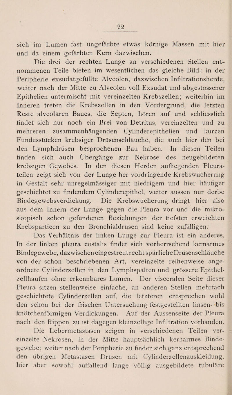sich im Lumen fast ungefärbte etwas körnige Massen mit hier und da einem gefärbten Kern dazwischen. Die drei der rechten Lunge an verschiedenen Stellen ent¬ nommenen Teile bieten im wesentlichen das gleiche Bild: in der Peripherie exsudatgefüllte Alveolen, dazwischen Infiltrationsherde, weiter nach der Mitte zu Alveolen voll Exsudat und abgestossener Epithelien untermischt mit vereinzelten Krebszellen; weiterhin im Inneren treten die Krebszellen in den Vordergrund, die letzten Reste alveolären Baues, die Septen, hören auf und schliesslich findet sich nur noch ein Brei von Detritus, vereinzelten und zu mehreren zusammenhängenden Cylinderepithelien und kurzen Fundusstücken krebsiger Drüsenschläuche, die auch hier den bei den Lymphdrüsen besprochenen Bau haben. In diesen Teilen finden sich auch Übergänge zur Nekrose des neugebildeten krebsigen Gewebes. In den diesen Herden aufliegenden Pleura¬ teilen zeigt sich von der Lunge her vordringende Krebswucherung in Gestalt sehr unregelmässiger mit niedrigem und hier häufiger geschichtet zu findendem Cylinderepithel, weiter aussen nur derbe Bindegewebsverdickung. Die Krebswucherung dringt hier also aus dem Innern der Lunge gegen die Pleura vor und die mikro¬ skopisch schon gefundenen Beziehungen der tiefsten erweichten Krebspartieen zu den Bronchialdrüsen sind keine zufälligen. Das Verhältnis der linken Lunge zur Pleura ist ein anderes. In der linken pleura costalis findet sich vorherrschend kernarmes Bindegewebe, dazwischeneingestreutrechtspärlicheDrüsenschläuche von der schon beschriebenen Art, vereinzelte reihenweise ange¬ ordnete Cylinderzellen in den Lymphspalten und grössere Epithel¬ zellhaufen ohne erkennbares Lumen. Der visceralen Seite dieser Pleura sitzen stellenweise einfache, an anderen Stellen mehrfach geschichtete Cylinderzellen auf, die letzteren entsprechen wohl den schon bei der frischen Untersuchung festgestellten linsen- bis knötchenförmigen Verdickungen. Auf der Aussenseite der Pleura nach den Rippen zu ist dagegen kleinzellige Infiltration vorhanden. Die Lebermetastasen zeigen in verschiedenen Teilen ver¬ einzelte Nekrosen, in der Mitte hauptsächlich kernarmes Binde¬ gewebe; weiter nach der Peripherie zu finden sich ganz entsprechend den übrigen Metastasen Drüsen mit Cylinderzellenauskleidung, hier aber sowohl auffallend lange völlig ausgebildete tubuläre