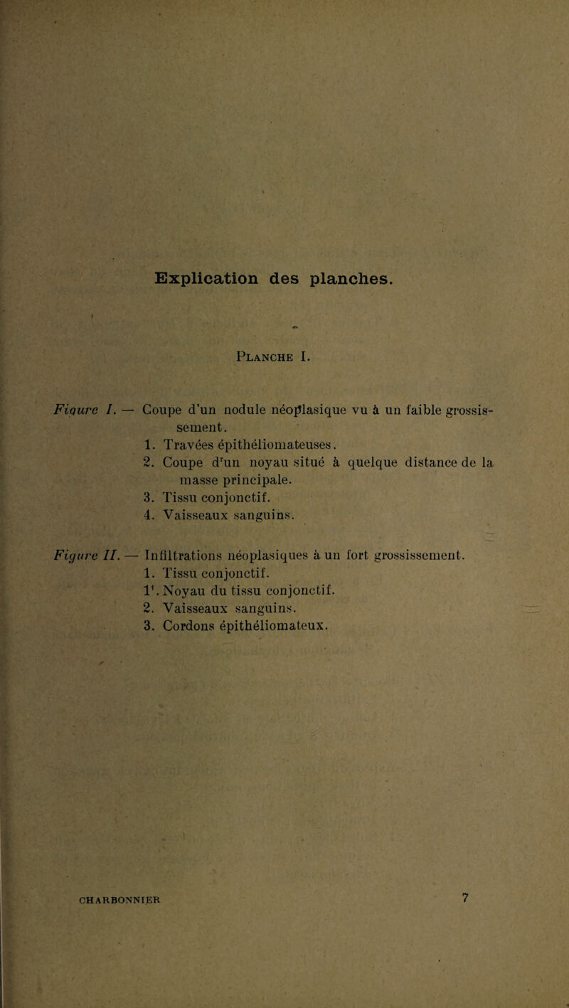 Explication des planches. Planche I. Figure I. — Coupe d’un nodule néoplasique vu à un faible grossis¬ sement. 1. Travées épithéliomateuses. 2. Coupe drun noyau situé à quelque distance de la masse principale. 3. Tissu conjonctif. 4. Vaisseaux sanguins. Figure II. — Infiltrations néoplasiques à un fort grossissement. 1. Tissu conjonctif. V. Noyau du tissu conjonctif. 2. Vaisseaux sanguins. 3. Cordons épithéliomateux. CHARBONNIER 7