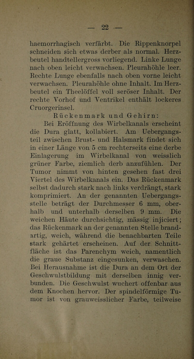 haemorrhagisch verfärbt. Die Rippenknorpel schneiden sich etwas derber als normal. Herz¬ beutel handtellergross vorliegend. Linke Lunge nach oben leicht verwachsen. Pleurahöhle leer. Rechte Lunge ebenfalls nach oben vorne leicht verwachsen. Pleurahöhle ohne Inhalt. Im Herz¬ beutel ein Tlieelöffel voll seröser Inhalt. Der rechte Vorhof und Ventrikel enthält lockeres Cruorgerinsel. Rückenmark und Gehirn: Bei Eröffnung des Wirbelkanals erscheint die Dura glatt, kollabiert. Am Uebergangs- teil zwischen Brust- und Plalsmark findet sich in einer Länge von 5 cm rechterseits eine derbe Einlagerung im Wirbelkanal von weisslich grüner Farbe, ziemlich derb anzufühlen. Der Tumor nimmt von hinten gesehen fast drei Viertel des Wirbelkanals ein. Das Rückenmark selbst dadurch stark nach links verdrängt, stark komprimiert. An der genannten Uebergangs- stelle beträgt der Durchmesser 6 mm, ober¬ halb und unterhalb derselben 9 mm. Die weichen Häute durchsichtig, mässig injiciert; das Rückenmark an der genannten Stelle brand¬ artig, weich, während die benachbarten Teile stark gehärtet erscheinen. Auf der Schnitt¬ fläche ist das Parenchym weich, namentlich die graue Substanz eingesunken, verwaschen. Bei Herausnahme ist die Dura an dem Ort der Geschwulstbildung mit derselben innig ver¬ bunden. Die Geschwulst wuchert offenbar aus dem Knochen hervor. Der spindelförmige Tu¬ mor ist von grauweisslicher Farbe, teilweise