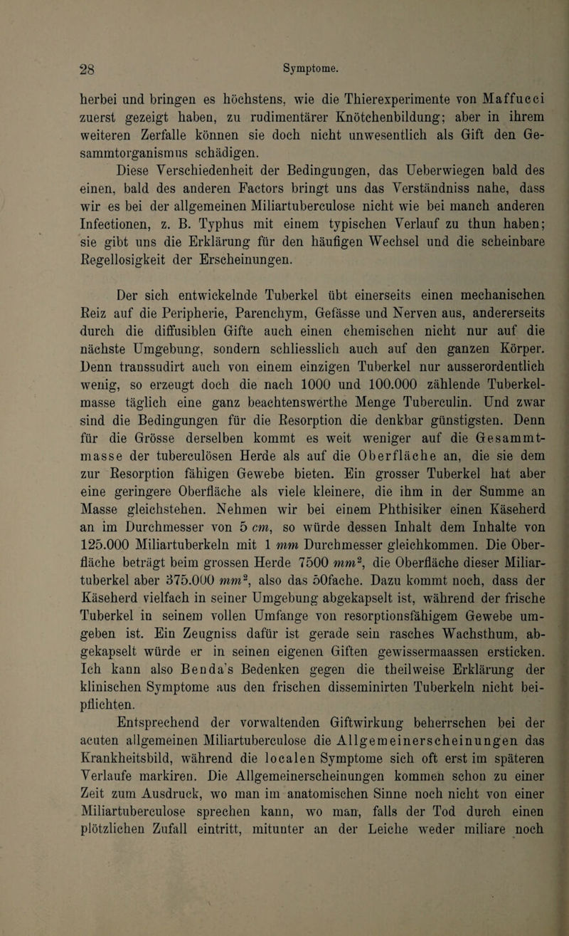 herbei und bringen es höchstens, wie die Thierexperimente von Maffucci zuerst gezeigt haben, zu rudimentärer Knötchenbildung; aber in ihrem weiteren Zerfalle können sie doch nicht unwesentlich als Gift den Ge- sammtorganismus schädigen. Diese Verschiedenheit der Bedinguugen, das Ueberwiegen bald des einen, bald des anderen Factors bringt uns das Verständniss nahe, dass wir es bei der allgemeinen Miliartuberculose nicht wie bei manch anderen Infectionen, z. B. Typhus mit einem typischen Verlauf zu thun haben; sie gibt uns die Erklärung für den häufigen Wechsel und die scheinbare Regellosigkeit der Erscheinungen. Der sich entwickelnde Tuberkel übt einerseits einen mechanischen Reiz auf die Peripherie, Parenchym, Ge fasse und Nerven aus, andererseits durch die diffusiblen Gifte auch einen chemischen nicht nur auf die nächste Umgebung, sondern schliesslich auch auf den ganzen Körper. Denn transsudirt auch von einem einzigen Tuberkel nur ausserordentlich wenig, so erzeugt doch die nach 1000 und 100.000 zählende Tuberkel¬ masse täglich eine ganz beachtenswerthe Menge Tuberculin. Und zwar sind die Bedingungen für die Resorption die denkbar günstigsten. Denn für die Grösse derselben kommt es weit weniger auf die Gesammt- masse der tuberculösen Herde als auf die Oberfläche an, die sie dem zur Resorption fähigen Gewebe bieten. Ein grosser Tuberkel hat aber eine geringere Oberfläche als viele kleinere, die ihm in der Summe an Masse gleichstehen. Nehmen wir bei einem Phthisiker einen Käseherd an im Durchmesser von 5 cm, so würde dessen Inhalt dem Inhalte von 125.000 Miliartuberkeln mit 1 mm Durchmesser gleichkommen. Die Ober¬ fläche beträgt beim grossen Herde 7500 mm2, die Oberfläche dieser Miliar¬ tuberkel aber 375.000 mm2, also das 50fache. Dazu kommt noch, dass der Käseherd vielfach in seiner Umgebung abgekapselt ist, während der frische Tuberkel in seinem vollen Umfange von resorptionsfähigem Gewebe um¬ geben ist. Ein Zeugniss dafür ist gerade sein rasches Wachsthum, ab¬ gekapselt würde er in seinen eigenen Giften gewissermaassen ersticken. Ich kann also Benda’s Bedenken gegen die theilweise Erklärung der klinischen Symptome aus den frischen disseminirten Tuberkeln nicht bei¬ pflichten. Entsprechend der vorwaltenden Giftwirkung beherrschen bei der acuten allgemeinen Miliartuberculose die Allgemeinerscheinungen das Krankheitsbild, während die localen Symptome sich oft erst im späteren Verlaufe markiren. Die Allgemeinerscheinungen kommen schon zu einer Zeit zum Ausdruck, wo man im anatomischen Sinne noch nicht von einer Miliartuberculose sprechen kann, wo man, falls der Tod durch einen plötzlichen Zufall eintritt, mitunter an der Leiche weder miliare noch