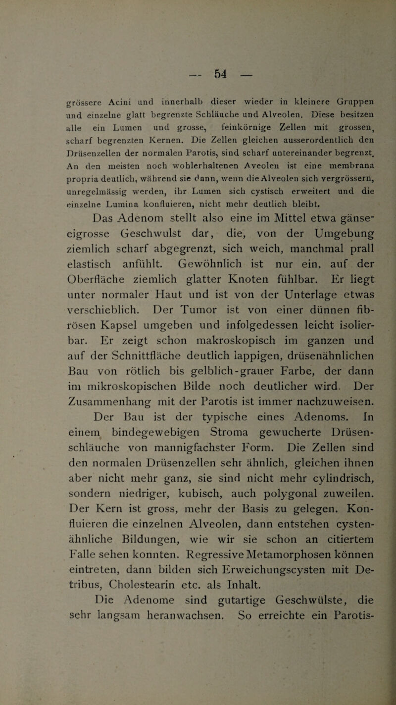 grössere Acini und innerhalb dieser wieder in kleinere Gruppen und einzelne glatt begrenzte Schläuche und Alveolen. Diese besitzen alle ein Lumen und grosse, feinkörnige Zellen mit grossen^ scharf begrenzten Kernen. Die Zellen gleichen ausserordentlich den Drüsenzellen der normalen Parotis, sind scharf untereinander begrenzt. An den meisten noch wohlerhaltenen Aveolen ist eine membrana propria deutlich, während sie dann, wenn die Alveolen sich vergrössern, unregelmässig werden, ihr Lumen sich cystisch erweitert und die einzelne Lumina konfluieren, nicht mehr deutlich bleibt. Das Adenom stellt also eine im Mittel etwa gänse¬ eigrosse Geschwulst dar, die, von der Umgebung ziemlich scharf abgegrenzt, sich weich, manchmal prall elastisch anfühlt. Gewöhnlich ist nur ein, auf der Oberfläche ziemlich glatter Knoten fühlbar. Er liegt unter normaler Haut und ist von der Unterlage etwas verschieblich. Der Tumor ist von einer dünnen fib¬ rösen Kapsel umgeben und infolgedessen leicht isolier¬ bar. Er zeigt schon makroskopisch im ganzen und auf der Schnittfläche deutlich lappigen, drüsenähnlichen Bau von rötlich bis gelblich-grauer Farbe, der dann im mikroskopischen Bilde noch deutlicher wird. Der Zusammenhang mit der Parotis ist immer nachzuweisen. Der Bau ist der typische eines Adenoms. In einem bindegewebigen Stroma gewucherte Drüsen¬ schläuche von mannigfachster Form. Die Zellen sind den normalen Drüsenzellen sehr ähnlich, gleichen ihnen aber nicht mehr ganz, sie sind nicht mehr cylindrisch, sondern niedriger, kubisch, auch polygonal zuweilen. Der Kern ist gross, mehr der Basis zu gelegen. Kon¬ fluieren die einzelnen Alveolen, dann entstehen cysten¬ ähnliche Bildungen, wie wir sie schon an citiertem F'alle sehen konnten. Regressive Metamorphosen können eintreten, dann bilden sich Erweichungscysten mit De- tribus, Cholestearin etc. als Inhalt. Die Adenome sind gutartige Geschwülste, die sehr langsam heranwachsen. So erreichte ein Parotis-