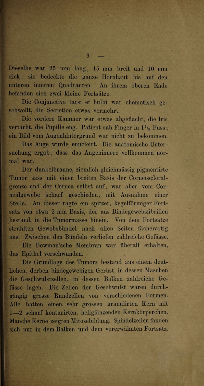 i ik i. 3 ■* ■ i * * Dieselbe war 25 min lang, 15 mm breit und 10 mm dick; sie bedeckte die ganze Hornhaut bis auf den unteren inneren Quadranten. An ihrem oberen Ende befanden sich zwei kleine Fortsätze. Die Conjunctiva tarsi et bulbi war chemotisch ge¬ schwellt, die Secretion etwas vermehrt. Die vordere Kammer war etwas abgefiaclit, die Iris veriärbt, die Pupille eng. Patient sali Finger in 1% Fuss; ein Bild vom Augenhintergrund war nicht zu bekommen. Das Auge wurde enucleirt. Die anatomische Unter¬ suchung ergab, dass das Augeninnere vollkommen nor¬ mal war. Der dunkelbraune, ziemlich gleichmässig pigmentirte Tumor sass mit einer breiten Basis der Corneoscleral- grenze und der Cornea selbst auf, war aber vom Cor- nealgewebe scharf geschieden, mit Ausnahme einer Stelle. An dieser ragte ein spitzer, kegelförmiger Fort¬ satz von etwa 2 mm Basis, der aus Bindegewebsfibrillen bestand, in die Tumormasse hinein. Von dem Fortsatze strahlten Gewebsbündel nach allen Seiten fächerartig aus. Zwischen den Bündeln verliefen zahlreiche Gefässe. Die Bowman’sche Membran war überall erhalten, das Epithel verschwunden. Die Grundlage des Tumors bestand aus einem deut¬ lichen, derben bindegewebigen Gerüst, in dessen Maschen die Geschwulstzellen, in dessen Balken zahlreiche Ge¬ fässe lagen. Die Zellen der Geschwulst waren durch¬ gängig grosse Rundzellen von verschiedenen Formen. Alle hatten einen sehr grossen granulirten Kern mit 1—2 scharf konturirten, hellglänzenden Kernkörperchen. Manche Kerne zeigten Mitosebildung. Spindelzellen fanden sich nur in dem Balken und dem vorerwähnten Fortsatz.
