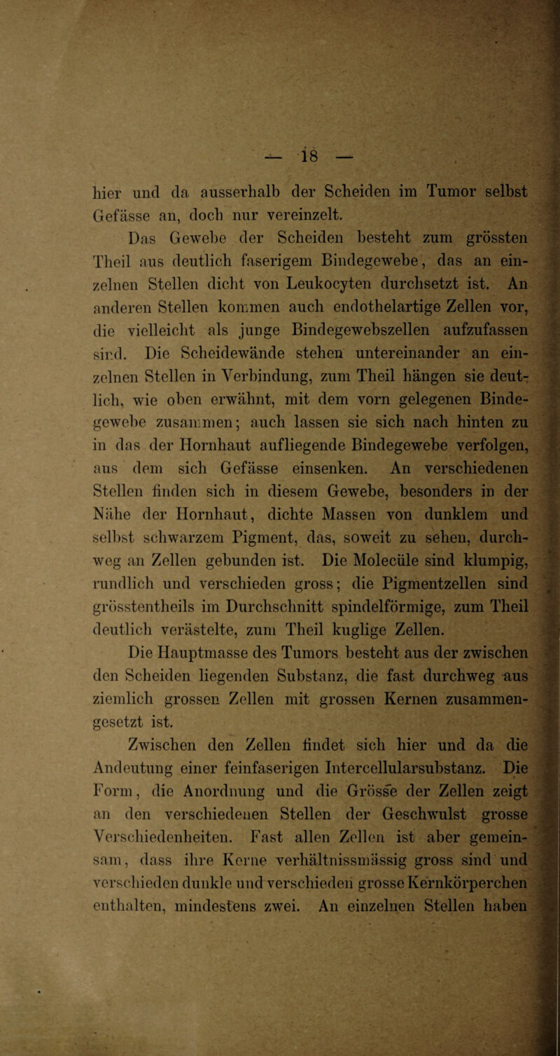 hier und da ausserhalb der Scheiden im Tumor selbst Gefässe an, doch nur vereinzelt. Das Gewebe der Scheiden besteht zum grössten Theil aus deutlich faserigem Bindegewebe, das an ein¬ zelnen Stellen dicht von Leukocyten durchsetzt ist. An anderen Stellen kommen auch endothelartige Zellen vor, die vielleicht als junge Bindegewebszellen aufzufassen sind. Die Scheidewände stehen untereinander an ein¬ zelnen Stellen in Verbindung, zum Theil hängen sie deut¬ lich, wie oben erwähnt, mit dem vorn gelegenen Binde¬ gewebe zusammen; auch lassen sie sich nach hinten zu in das der Hornhaut aufliegende Bindegewebe verfolgen, aus dem sich Gefässe einsenken. An verschiedenen Stellen finden sich in diesem Gewebe, besonders in der Nähe der Hornhaut, dichte Massen von dunklem und selbst schwarzem Pigment, das, soweit zu sehen, durch¬ weg an Zellen gebunden ist. Die Molecüle sind klumpig, rundlich und verschieden gross; die Pigmentzellen sind grösstentheils im Durchschnitt spindelförmige, zum Theil deutlich verästelte, zum Theil kuglige Zellen. Die Hauptmasse des Tumors besteht aus der zwischen den Scheiden liegenden Substanz, die fast durchweg aus ziemlich grossen Zellen mit grossen Kernen zusammen¬ gesetzt ist. Zwischen den Zellen findet sich hier und da die Andeutung einer feinfaserigen Intercellularsubstanz. Die Form, die Anordnung und die Grösse der Zellen zeigt an den verschiedenen Stellen der Geschwulst grosse Verschiedenheiten. Fast allen Zellen ist aber gemein¬ sam, dass ihre Kerne verhältnissmässig gross sind und verschieden dunkle und verschieden grosse Kernkörperchen enthalten, mindestens zwei. An einzelnen Stellen haben