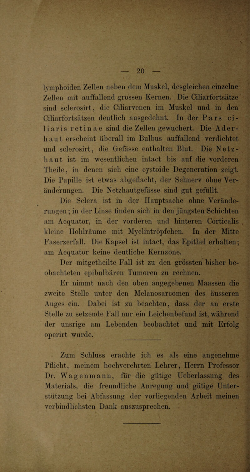 \ lymphoiden Zellen neben dem Muskel, desgleichen einzelne Zellen mit auffallend grossen Kernen. Die Ciliarfortsätze sind sclerosirt, die Ciliarvenen im Muskel und in den Ciliarfortsätzen deutlich ausgedehnt. In der Pars ci¬ liar i s r e t i n a e sind die Zellen gewuchert. Die Ader- haut erscheint überall im Bulbus auffallend verdichtet und sclerosirt, die Gefässe enthalten Blut. Die Netz¬ haut ist im wesentlichen intact bis auf die vorderen Theile, in denen sich eine cystoide Degeneration zeigt. Die Papille ist etwas abgeflacht, der Sehnerv ohne Ver¬ änderungen. Die Netzhautgefässe sind gut gefüllt. Die Sclera ist in der Hauptsache ohne Verände¬ rungen ; in der Linse linden sich in den jüngsten Schichten am Aequator, in der vorderen und hinteren Corticalis kleine Hohlräume mit Myelintröpfchen. In der Mitte Faserzerfall. Die Kapsel ist intact, das Epithel erhalten; am Aequator keine deutliche Kernzone. Der mitgetheilte Fall ist zu den grössten bisher be¬ obachteten epibulbären Tumoren zu rechnen. Er nimmt nach den oben angegebenen Maassen die zweite Stelle unter den Melanosarcomen des äusseren Auges ein. Dabei ist zu beachten, dass der an erste Stelle zu setzende Fall nur ein Leichenbefund ist, während der unsrige am Lebenden beobachtet und mit Erfolg operirt wurde. Zum Schluss erachte ich es als eine angenehme Pflicht, meinem hochverehrten Lehrer, Herrn Professor Dr. VVagenmann, für die gütige Ueberlassung des Materials, die freundliche Anregung und gütige Unter¬ stützung bei Abfassung der vorliegenden Arbeit meinen verbindlichsten Dank auszusprechen.