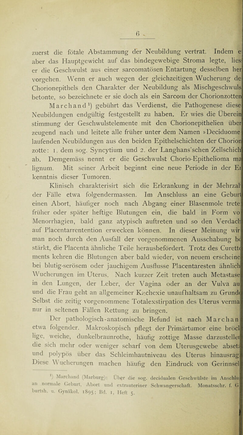 1 6 . zuerst die fötale Abstammung der Neubildung vertrat. Indem e aber das Hauptgewicht auf das bindegewebige Stroma legte, lies; er die Geschwulst aus einer sarcomatösen Entartung desselben her Vorgehen. Wenn er auch wegen der gleichzeitigen Wucherung de Chorionepithels den Charakter der Neubildung als Mischgeschwuls betonte, so bezeichnete er sie doch als ein Sarcom der Chorionzotten Marchand1) gebührt das Verdienst, die Pathogenese diese Neubildungen endgültig festgestellt zu haben. Er wies die Überein Stimmung der Geschwulstelemente mit den Chorionepithelien über zeugend nach und leitete alle früher unter dem Namen »Deciduome o laufenden Neubildungen aus den beiden Epithelschichten der Chorion zotte: i. dem sog. Syncytium und 2. der Langhans’schen Zellschich ab. Demgemäss nennt er die Geschwulst Chorio-Epithelioma ma lignum. Mit seiner Arbeit beginnt eine neue Periode in der Er kenntnis dieser Tumoren. Klinisch charakterisirt sich die Erkrankung in der Mehrzah der Fälle etwa folgendermassen. Im Anschluss an eine Geburf, einen Abort, häufiger noch nach Abgang einer Blasenmole trete früher oder später heftige Blutungen ein, die bald in Form vo Menorrhagien, bald ganz atypisch auftreten und so den Verdacli auf Placentarrentention erwecken können. In dieser Meinung wir man noch durch den Ausfall der vorgenommenen Ausschabung bc stärkt, die Placenta ähnliche Teile herausbefördert. Trotz des Curette ments kehren die Blutungen aber bald wieder, von neuem erscheine bei blutig-serösem oder jauchigem Ausflusse Placentaresten ähnlich Wucherungen im Uterus. Nach kurzer Zeit treten auch Metastase in den Lungen, der Leber, der Vagina oder an der Vulva au und die Frau geht an allgemeiner Kachexie unaufhaltsam zu Grunde Selbst die zeitig vorgenommene Totalexstirpation des Uterus verma nur in seltenen Fällen Rettung zu bringen. Der pathologisch-anatomische Befund ist nach Marchan etwa folgender. Makroskopisch pflegt der Primärtumor eine bröcl lige, weiche, dunkelbraunrothe, häufig zottige Masse darzustellei die sich mehr oder weniger scharf von dem Uterusgewebe abset;| und polypös über das Schleimhautniveau des Uterus hinausrag Diese V ucherungen machen häufig den Eindruck von Gerinnsel ) Marchand (Marburg): Über die sog. decidualen Geschwülste im Anschlu: an normale Geburt, Abort und extrauteriner Schwangerschaft. Monatsschr. f. G