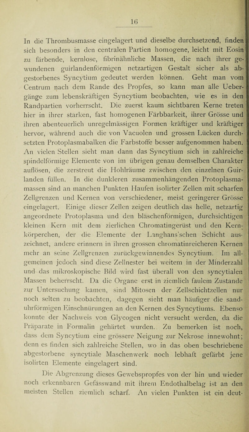 In die Thrombusmasse eingelagert und dieselbe durchsetzend, finden sich besonders in den centralen Partien homogene, leicht mit Eosin zu färbende, kernlose, fibrinähnliche Massen, die nach ihrer ge¬ wundenen guirlandenförmigen netzartigen Gestalt sicher als ab¬ gestorbenes Syncytium gedeutet werden können. Geht man vom Centrum nach dem Rande des Propfes, so kann man alle Ueber- gänge zum lebenskräftigen Syncytium beobachten, wie es in den j Randpartien vorherrscht. Die zuerst kaum sichtbaren Kerne treten hier in ihrer starken, fast homogenen P'ärbbarkeit, ihrer Grösse und ; ihren abenteuerlich unregelmässigen P'ormen kräftiger und kräftiger hervor, während auch die von Vacuolen und grossen Lücken durch¬ setzten Protoplasmabalken die Farbstoffe besser aufgenommen haben. An vielen Stellen sieht man dann das Syncytium sich in zahlreiche spindelförmige Elemente von im übrigen genau demselben Charakter auflösen, die zerstreut die Hohlräume zwischen den einzelnen Guir- landen füllen. In die dunkleren zusammenhängenden Protoplasma¬ massen sind an manchen Punkten Haufen isolirter Zellen mit scharfen Zellgrenzen und Kernen von verschiedener, meist geringerer Grösse eingelagert. Einige dieser Zellen zeigen deutlich das helle, netzartig angeordnete Protoplasma und den bläschenförmigen, durchsichtigen kleinen Kern mit dem zierlichen Chromatingerüst und den Kern- I körperchen, der die Elemente der Langhans’schen Schicht aus¬ zeichnet, andere erinnern in ihren grossen chromatinreicheren Kernen \ mehr an seine Zellgrenzen zurückgewinnendes Syncytium. Im all¬ gemeinen jedoch sind diese Zellnester bei weitem in der Minderzahl und das mikroskopische Bild wird fast überall von den syncytialen Massen beherrscht. Da die Organe erst in ziemlich faulem Zustande zur Untersuchung kamen, sind Mitosen der Zellschichtzellen nur noch selten zu beobachten, dagegen sieht man häufiger die sand¬ uhrförmigen Einschnürungen an den Kernen des Syncytiums. Ebenso konnte der Nachweis von Glycogen nicht versucht werden, da die Präparate in Formalin gehärtet wurden. Zu bemerken ist noch, dass dem Syncytium eine grössere Neigung zur Nekrose innewohnt; denn es finden sich zahlreiche Stellen, wo in das oben beschriebene abgestorbene syncytiale Maschen werk noch lebhaft gefärbt jene isolirten Elemente eingelagert sind. Die Abgrenzung dieses Gewebspropfes von der hin und wieder noch erkennbaren Gefässwand mit ihrem Endothalbelap- ist an den o meisten Stellen ziemlich scharf. An vielen Punkten ist ein deut-