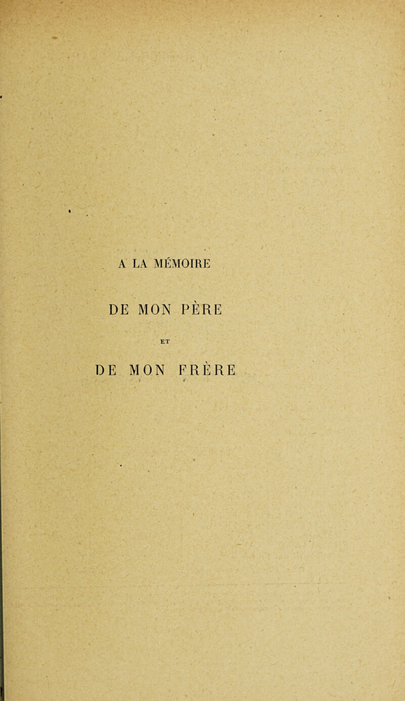 / A LA MÉMOIRE DE MON PÈRE ET DE MON FRÈRE