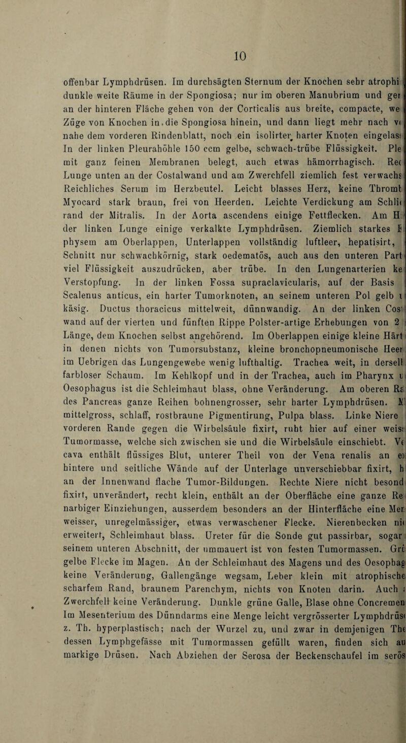 offenbar Lymphdrüsen. Im durchsägten Sternum der Knochen sehr atrophi dunkle weite Räume in der Spongiosa; nur im oberen Manubrium und ger an der hinteren Fläche gehen von der Corticalis aus breite, compacte, we Züge von Knochen in.die Spongiosa hinein, und dann liegt mehr nach vi nahe dem vorderen Rindenblatt, noch ein isolirtei; harter Knoten eingelas; In der linken Pleurahöhle 150 ccm gelbe, schwach-trübe Flüssigkeit. Pie mit ganz feinen Membranen belegt, auch etwas hämorrhagisch. Re( Lunge unten an der Costalwand und am Zwerchfell ziemlich fest verwachs Reichliches Serum im Herzbeutel. Leicht blasses Herz, keine Tbroml Myocard stark braun, frei von Heerden. Leichte Verdickung am Schiit rand der Mitralis. In der Aorta ascendens einige Fettflecken. Am H der linken Lunge einige verkalkte Lymphdrüsen. Ziemlich starkes E physem am Oberlappen, Unterlappen vollständig luftleer, hepatisirt, Schnitt nur schwacbkörnig, stark oedematös, auch aus den unteren Part viel EMüssigkeit auszudrücken, aber trübe. In den Lungenarterien ke Verstopfung. In der linken E'ossa supraclavicularis, auf der Basis Scalenus anticus, ein harter Tumorknoten, an seinem unteren Pol gelb i käsig. Ductus thoracicus mittelweit, dünnwandig. An der linken Cos' wand auf der vierten und fünften Rippe Polster-artige Erhebungen von 2 Länge, dem Knochen selbst angehörend. Im Oberlappen einige kleine Härt in denen nichts von Tumorsubstanz, kleine bronchopneumonische Heer im Uebrigen das Lungengewebe wenig lufthaltig. Trachea weit, in dersell farbloser Schaum. Im Kehlkopf und in der Trachea, auch im Pharynx n Oesophagus ist die Schleimhaut blass, ohne Veränderung. Am oberen Rj des Pancreas ganze Reihen bohnengrosser, sehr harter Lymphdrüsen. K' mittelgross, schlaff, rostbraune Pigmentirung, Pulpa blass. Linke Niere vorderen Rande gegen die Wirbelsäule fixirt, ruht hier auf einer weis; Tumormasse, welche sich zwischen sie und die Wirbelsäule einschiebt. V( cava enthält flüssiges Blut, unterer Theil von der Vena renalis an et hintere und seitliche Wände auf der Unterlage unverschiebbar fixirt, h an der Innenwand flache Tumor-Bildungen. Rechte Niere nicht besond fixirt, unverändert, recht klein, enthält an der Oberfläche eine ganze Re narbiger Einziehungen, ausserdem besonders an der Hinterfläche eine Mer weisser, unregelmässiger, etwas verwaschener Flecke. Nierenbecken ni< erweitert, Schleimhaut blass. Ureter für die Sonde gut passirbar, sogar seinem unteren Abschnitt, der ummauert ist von festen Tumormassen. Grt gelbe Flecke im Magen. An der Schleimhaut des Magens und des Oesopbag keine Veränderung, Gallengänge wegsam, Leber klein mit atrophische scharfem Rand, braunem Parenchym, nichts von Knoten darin. Auch < Zwerchfell keine Veränderung. Dunkle grüne Galle, Blase ohne Concremen Im Mesenterium des Dünndarms eine Menge leicht vergrösserter Lymphdrüsi z. Th. hyperplastisch; nach der Wurzel zu, und zwar in demjenigen Th( dessen Lymphgefässe mit Tumormassen gefüllt waren, finden sich au markige Drüsen. Nach Abziehen der Serosa der Beckenschaufel im serös