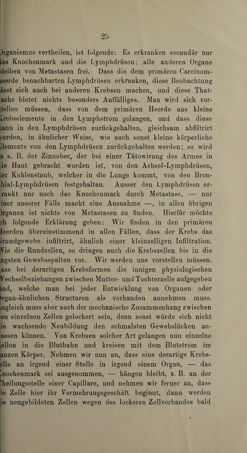 Iirganismus vertheilen, ist folgende: Es erkranken secundär nur as Knochenmark und die Lymphdrüsen; alle anderen Organe leiben von Metastasen frei. Dass die dem primären Carcinom- leerde benachbarten Lymphdrüsen erkranken, diese Beobachtung ässt sich auch bei anderen Krebsen machen, und diese That- ache bietet nichts besonders Auffälliges. Man wird sich Vor¬ teilen müssen, dass von dem primären Heerde aus kleine [rebselemente in den Lymphstrom gelangen, und dass diese lann in den Lymphdrüsen zurückgehalten, gleichsam abfiltrirt werden, in ähnlicher Weise, wie auch sonst kleine körperliche Elemente von den Lymphdrüsen zurückgehalten werden; so wird a z. B. der Zinnober, der bei einer Tätowirung des Armes in de Haut gebracht worden ist, von den Achsel-Lymphdrüsen, ler Kohlenstaub, welcher in die Lunge kommt, von den Bron- hial-Lymphdrüsen festgehalten. Ausser den Lymphdrüsen er- rankt nur noch das Knochenmark durch Metastase, — nur iner unserer Fälle macht eine Ausnahme —, in allen übrigen )rganen ist nichts von Metastasen zu finden. Hierfür möchte sh folgende Erklärung geben: Wir finden in den primären leerden übereinstimmend in allen Fällen, dass der Krebs das Jrundgewebe infiltrirt, ähnlich einer kleinzelligen Infiltration. jVie die Rundzellen, so dringen auch die Krebszellen bis in die ngsten Gewebsspalten vor. Wir werden uns vorstellen müssen, ass bei derartigen Krebsformen die innigen physiologischen Vechselbeziehungen zwischen Mutter- und Tochterzelle aufgegeben ind, welche man bei jeder Entwicklung von Organen oder frgan-ähnlichen Structuren als vorhanden annehmen muss. (Ugleich muss aber auch der mechanische Zusammenhang zwischen en einzelnen Zellen gelockert sein, denn sonst würde sich nicht ie wachsende Neubildung den schmälsten Gewebslücken an- assen können. Von Krebsen solcher Art gelangen nun einzelne gellen in die Blutbahn und kreisen mit dem Blutstrom im anzen Körper. Nehmen wir nun an, dass eine derartige Krebs¬ elle an irgend einer Stelle in irgend einem Organ, — das Knochenmark sei ausgenommen, — hängen bleibt, z. B. an der ’heilungsstelle einer Capillare, und nehmen wir ferner an, dass ie Zelle hier ihr Vermehrungsgeschäft beginnt, dann werden ie neugebildeten Zellen wegen des lockeren Zellverbandes bald