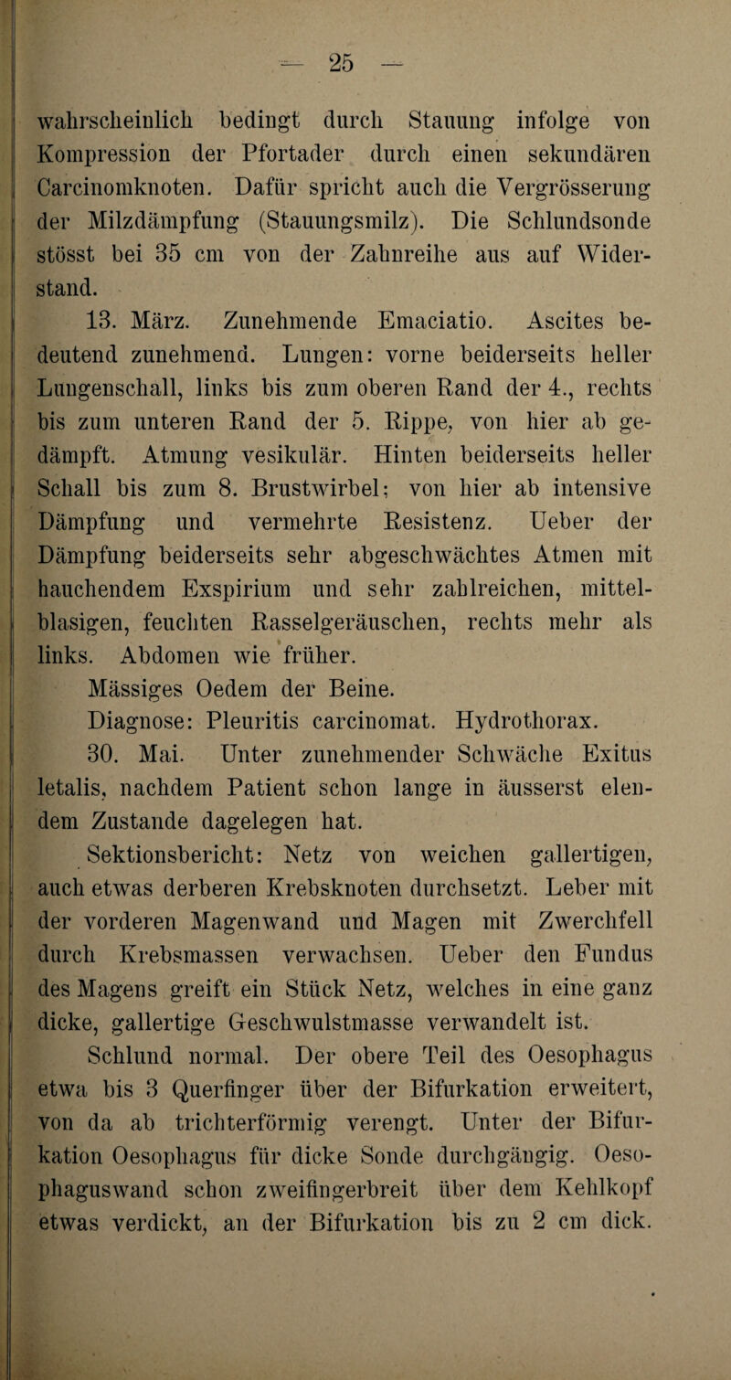 wahrscheinlich bedingt durch Stauung infolge von Kompression der Pfortader durch einen sekundären Carcinomknoten. Dafür spricht auch die Vergrösserung der Milzdämpfung (Stauungsmilz). Die Schlundsonde stösst bei 35 cm von der Zahnreihe aus auf Wider¬ stand. 13. März. Zunehmende Emaciatio. Ascites be¬ deutend zunehmend. Lungen: vorne beiderseits heller Lungenschall, links bis zum oberen Rand der 4., rechts bis zum unteren Rand der 5. Rippe, von hier ab ge¬ dämpft. Atmung vesikulär. Hinten beiderseits heller Schall bis zum 8. Brustwirbel; von hier ab intensive Dämpfung und vermehrte Resistenz. Ueber der Dämpfung beiderseits sehr abgeschwächtes Atmen mit hauchendem Exspirium und sehr zahlreichen, mittel¬ blasigen, feuchten Rasselgeräuschen, rechts mehr als links. Abdomen wie früher. Mässiges Oedem der Beine. Diagnose: Pleuritis carcinomat. Hydrothorax. 30. Mai. Unter zunehmender Schwäche Exitus letalis, nachdem Patient schon lange in äusserst elen¬ dem Zustande dagelegen hat. Sektionsbericht: Netz von weichen gallertigen, auch etwas derberen Krebsknoten durchsetzt. Leber mit der vorderen Magenwand und Magen mit Zwerchfell durch Krebsmassen verwachsen. Ueber den Fundus des Magens greift ein Stück Netz, welches in eine ganz dicke, gallertige Geschwulstmasse verwandelt ist. Schlund normal. Der obere Teil des Oesophagus etwa bis 3 Querfinger über der Bifurkation erweitert, von da ab trichterförmig verengt. Unter der Bifur¬ kation Oesophagus für dicke Sonde durchgängig. Oeso- phaguswand schon zweifingerbreit über dem Kehlkopf etwas verdickt, an der Bifurkation bis zu 2 cm dick.