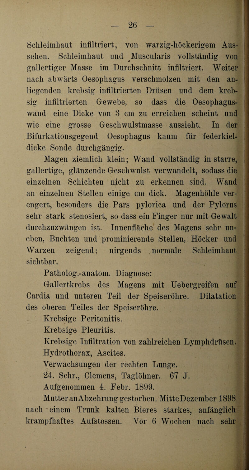 Schleimhaut infiltriert, von warzig-höckerigem Aus¬ sehen. Schleimhaut und ^Muscularis vollständig von gallertiger Masse im Durchschnitt infiltriert. Weiter nach abwärts Oesophagus verschmolzen mit den an¬ liegenden krebsig infiltrierten Drüsen und dem kreb- sig infiltrierten Gewebe, so dass die Oesophagus- wand eine Dicke von 3 cm zu erreichen scheint und wie eine grosse Geschwulstmasse aussieht. In der Bifurkationsgegend Oesophagus kaum für federkiel¬ dicke Sonde durchgängig. Magen ziemlich klein; Wand vollständig in starre, gallertige, glänzende Geschwulst verwandelt, sodass die einzelnen Schichten nicht zu erkennen sind. Wand an einzelnen Stellen einige cm dick. Magenhöhle ver¬ engert, besonders die Pars pylorica und der Pylorus sehr stark stenosiert, so dass ein Finger nur mit Gewalt durchzuzwängen ist. Innenfläche des Magens sehr un¬ eben, Buchten und prominierende Stellen, Höcker und Warzen zeigend; nirgends normale Schleimhaut sichtbar. Patholog.-anatom. Diagnose: Gallertkrebs des Magens mit Uebergreifen auf Cardia und unteren Teil der Speiseröhre. Dilatation des oberen Teiles der Speiseröhre. Krebsige Peritonitis. Krebsige Pleuritis. Krebsige Infiltration von zahlreichen Lymphdrüsen. % Hydrothorax, Ascites. Verwachsungen der rechten Lunge. 24. Sehr., Clemens, Taglöhner. 67 J. Aufgenommen 4. Febr. 1899. MutteranAbzehrunggestorben. MitteDezember 1898 nach-einem Trunk kalten Bieres starkes, anfänglich krampfhaftes Aufstossen. Vor 6 Wochen nach sehr