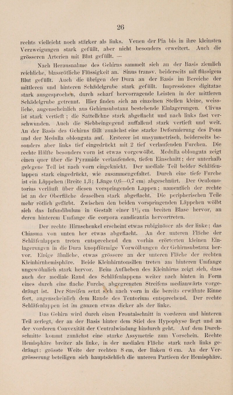 rechts vielleicht noch stärker als links. Venen der Pia bis in ihre kleinsten Verzweigungen stark gefüllt, aber nicht besonders erweitert. Auch die grösseren Arterien mit Blut gefüllt. — Nach Herausnahme des Gehirns sammelt sich an der Basis ziemlich reichliche, blassrötliche Flüssigkeit an. Sinus transv. beiderseits mit flüssigem Blut gefüllt. Audi die übrigen der Dura an der Basis im Bereiche der mittleren und hinteren Schädelgrube stark gefüllt. Impressiones digitatae stark ausgesprochen, durch scharf hervorragende Leisten in der mittleren Schädelgrube getrennt. Hier finden sich an einzelnen Stellen kleine, weiss- liclie, augenscheinlich aus Gehirnsubstanz bestehende Einlagerungen. Clivus ist stark vertieft ; die Sattellehne stark abgeflacht und nach links fast ver¬ schwunden. Auch die Siebbeingegend auffallend stark vertieft und weit. An der Basis des Gehirns fällt zunächst eine starke Deformierung des Pons und der Medulla oblongata auf. Ersterer ist unsymmetrisch, beiderseits be¬ sonders aber links tief eingedrückt mit 2 tief verlaufenden Furchen. Die rechte Hälfte besonders vorn ist etwas vorgewölbt. Medulla oblongata zeigt einen quer über die Pyramide verlaufenden, tiefen Einschnitt; der unterhalb gelegene Teil ist nach vorn eingeknickt. Der mediale Teil beider Schläten- lappen stark eingedrückt, wie zusammengefaltet. Durch eine tiefe Furche ist ein Läppchen (Breite 1,3; Lange 0,6:—0,7 cm) abgeschnürt. Der Oculomo- torius verläuft über diesen vorspringenden Lappen; namentlich der rechte ist an der Oberfläche desselben stark abgeflacht. Die peripherischen Teile mehr rötlich gefärbt. Zwischen den beiden vorspringenden Läppchen wölbt sich das Infundibulum in Gestalt einer 11/2 cm breiten Blase hervor, an deren hinterem Umfange die corpora candicantia hervortreten. Der rechte Hirnschenkel erscheint etwas rubiginöser als der linke; das Chiasma von unten her etwas abgeflacht. An der unteren Fläche der Schläfenlappen treten entsprechend den vorhin erörterten kleinen Ein¬ lagerungen in die Dura knopfförmige Vorwölbungen der Gehirnsubstanz her¬ vor. Einige ähnliche, etwas grössere an der unteren Fläche der rechten Kleinhirnhemisphäre. Beide Kleinhirntonsillen treten am hinteren Umfange ungewöhnlich stark hervor. Beim Aufheben des Kleinhirns zeigt sich, dass auch der mediale Rand des Schläfenlappens weiter nach hinten in Form eines durch eine flache Furche abgegrenzten Streifens medianwärts vorge¬ drängt ist. Der Streifen setzt, sich nach vorn in die bereits erwähnte Rinne fort, augenscheinlich dem Rande des Tentorium entsprechend. Der rechte Schläfenlappen ist im ganzen etwas dicker als der linke. Das Gehirn wird durch einen Frontalschnitt in vorderen und hinteren Teil zerlegt, der an der Basis hinter dem Stiel des Hypophyse liegt und an der vorderen Convexität der Centralwindung hindurch geht. Auf dem Durch¬ schnitte kommt zunächst eine starke Assvmetrie zum Vorschein. Rechte Hemisphäre breiter als linke, in der medialen Fläche stark nach links ge¬ drängt : grösste Weite der rechten 8 cm, der linken 6 cm. An der Ver- grösserung beteiligen sich hauptsächlich die unteren Partieen der Hemisphäre.