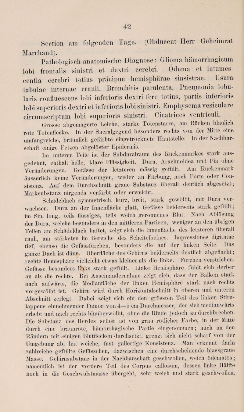 Section am folgenden Tage. (Obdneent Herr Geheimrat Marchand). Pathologisch-anatomische Diagnose: Glioma hämorrhagieum lobi frontalis sinistri et dextri cerebri. Ödema et intames- centia cerebri totius präcipue bemispbärae sinsistrae. üsura tabulae intemae cranii. Bronchitis purulenta. Pneumonia lobu- laris confluescens lobi mferioris dextri teie totius^ paitis inferions lobi superioris dextri et inferions lobi sinistri. Emphysema vesiculare circumscriptum lobi superioris sinistri. Cicatrices ventrieuli. Grosse abgemagerte Leiche, starke Totenstarre, am Rücken bläulich rote Totenflecke. In der Sacralgegend besonders rechts von der Mitte eine umfangreiche, bräunlich gefärbte eingetrocknete Hautstelle. In der Nachbar¬ schaft. einige Fetzen abgelöster Epidermis. Im unteren Teile ist der Subduralraum des Rückenmarkes stark aus¬ gedehnt, enthält helle, klare Flüssigkeit. Dura, Arachnoidea und Pia ohne Veränderungen. Gefässe der letzteren massig gefüllt. Am Rückenmark äusserlich keine Veränderungen, weder an Färbung, noch Form oder Con- sistenz. Auf dem Durchschnitt graue Substanz überall deutlich abgesetzt; Marksubstanz nirgends verfärbt oder erweicht. Schädeldach symmetrisch, kurz, breit, stark gewölbt, mit Dura ver¬ wachsen. Dura an der Innenfläche glatt, Gefässe beiderseits stark gefüllt; im Sin. long, teils flüssiges, teils weich geronnenes Blut. Nach Ablösung der Dura, welche besonders in den mittleren Partieen, weniger an den übrigen Teilen am Schädeldach haftet, zeigt sich die Innenfläche des letzteren überall rauh, am stärksten im Bereiche des Scheitelbeines. Impressiones digitatae tief, ebenso die Gefässfurchen, besonders die auf der linken Seite. Das ganze Dach ist dünn. Oberfläche des Gehirns beiderseits deutlich abgeflacht; rechte Hemisphäre vielleicht etwas kleiner als die linke. Furchen verstrichen. Gefässe besonders links stark gefüllt. Linke Hemisphäre fühlt sich derber an als die rechte. Bei Auseinandernahme zeigt sich, dass der Balken stark nach aufwärts, die Medianfläche der linken Hemisphäre stark nach rechts vorgewölbt ist. Gehirn wird durch Horizontalschnitt in oberen und unteren Abschnitt zerlegt. Dabei zeigt sich ein den grössten Teil des linken Stirn¬ lappens einnehmender Tumor von 4—5 cm Durchmesser, der sich medianwärts erhebt und nach rechts hinüberwölbt, ohne die Rinde jedoch zu durchbrechen. Die Substanz des Herdes selbst ist von grau rötlicher Farbe, in der Mitte durch eine braunrote, hämorrhagische Partie eingenommen; auch an den Rändern mit .einigen Blutflecken durchsetzt, grenzt sich nicht scharf von der Umgebung ab, hat weiche, fast gallertige Konsistenz. Man erkennt darin zahlreiche gefüllte Gefässchen, dazwischen eine durchscheinende blassgraue Masse. Gehirnsubstanz in der Nachbarschaft geschwollen, weich ödematös; namentlich ist der vordere Teil des Corpus callosum, dessen linke Hälfte noch in die Geschwulstmasse übergeht, sehr weich und stark geschwollen.