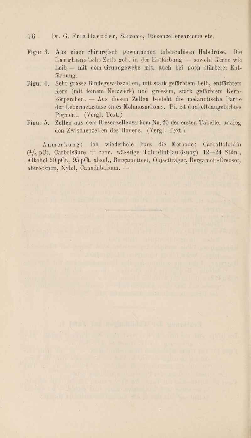 Figur 3. Aus einer chirurgisch gewonnenen tuberculösen Halsdrüse. Die Langhans’schc Zelle geht in der Entfärbung — sowohl Kerne wie Leib — mit dem Grundgewebe mit, auch bei noch stärkerer Ent¬ färbung. Figur 4. Sehr grosse Bindegewebszellen, mit stark gefärbtem Leib, entfärbtem Kern (mit feinem Netzwerk) und grossem, stark gefärbtem Kern¬ körperchen. — Aus diesen Zellen besteht die melanotische Partie der Lebermetastase eines Melanosarkoms. Pi. ist dunkelblaugefärbtes Pigment. (Vergl. Text.) Figur 5. Zellen aus dem Riesenzellensarkom No. 20 der ersten Tabelle, analog den Zwischenzellen des-Hodens. (Vergl. Text.) Anmerkung: Ich wiederhole kurz die Methode: Carboltoluidin (V2 pCt. Carbolsäure + conc. wässrige Toluidinblaulösung) 12—24 Stdn., Alkohol 50 pCt., 95 pCt. absol., Bergamottoel, Objectträger, Bergamott-Creosot, abtrocknen, Xylol, Canadabalsam. —