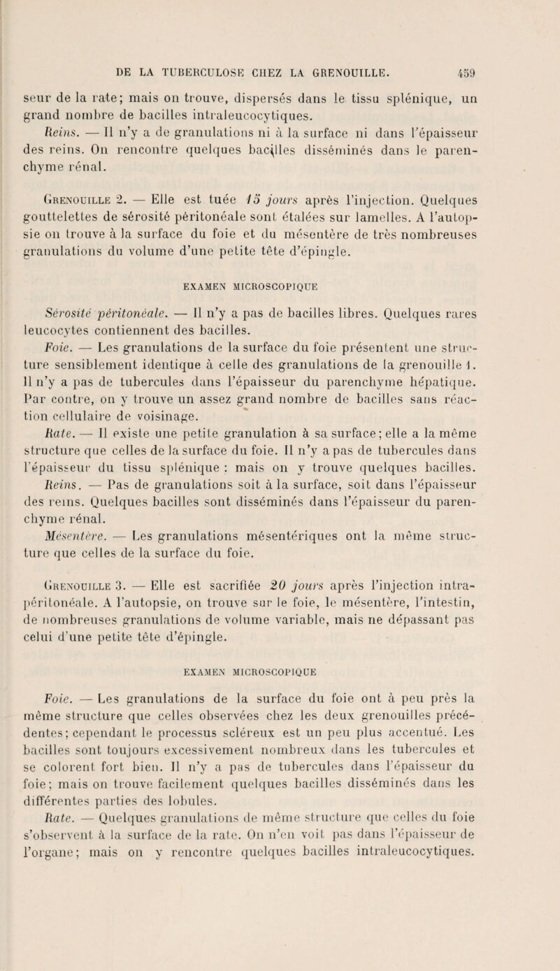 seur de la rate; mais on trouve, dispersés dans le tissu splénique, un grand nombre de bacilles intraleucocytiques. Reins. — Il n’y a de granulations ni à la surface ni dans l'épaisseur des reins. On rencontre quelques bacilles disséminés dans le paren¬ chyme rénal. Grenouille 2. — Elle est tuée 15 jours après l’injection. Quelques gouttelettes de sérosité péritonéale sont étalées sur lamelles. A l’autop¬ sie on trouve à la surface du foie et du mésentère de très nombreuses granulations du volume d’une petite tête d’épingle. EXAMEN MICROSCOPIQUE Sérosité péritonéale. — Il n’y a pas de bacilles libres. Quelques rares leucocytes contiennent des bacilles. Foie. — Les granulations de la surface du foie présentent une struc¬ ture sensiblement identique à celle des granulations de la grenouille 4. 11 n’y a pas de tubercules dans l’épaisseur du parenchyme hépatique. Par contre, on y trouve un assez grand nombre de bacilles sans réac¬ tion cellulaire de voisinage. Rate. — Il existe une petite granulation à sa surface; elle a la même structure que celles de la surface du foie. Il n’y a pas de tubercules dans l’épaisseur du tissu splénique : mais on y trouve quelques bacilles. Reins. — Pas de granulations soit à la surface, soit dans l’épaisseur des rems. Quelques bacilles sont disséminés dans l’épaisseur du paren¬ chyme rénal. Mésentère. — Les granulations mésentériques ont la même struc¬ ture que celles de la surface du foie. Grenouille 3. — Elle est sacrifiée 20 jours après l’injection intra¬ péritonéale. A l’autopsie, on trouve sur le foie, le mésentère, l’intestin, de nombreuses granulations de volume variable, mais ne dépassant pas celui d’une petite tête d’épingle. examen microscopique Foie. — Les granulations de la surface du foie ont à peu près la même structure que celles observées chez les deux grenouilles précé¬ dentes; cependant le processus scléreux est un peu plus accentué. Les bacilles sont toujours excessivement nombreux dans les tubercules et se colorent fort bien. Il n’y a pas de tubercules dans l’épaisseur du foie; mais on trouve facilement quelques bacilles disséminés dans les différentes parties des lobules. Rate. — Quelques granulations de même structure que celles du foie s’observent à la surface de la rate. On n’en voit pas dans l’épaisseur de l’organe; mais on y rencontre quelques bacilles intraleucocytiques.