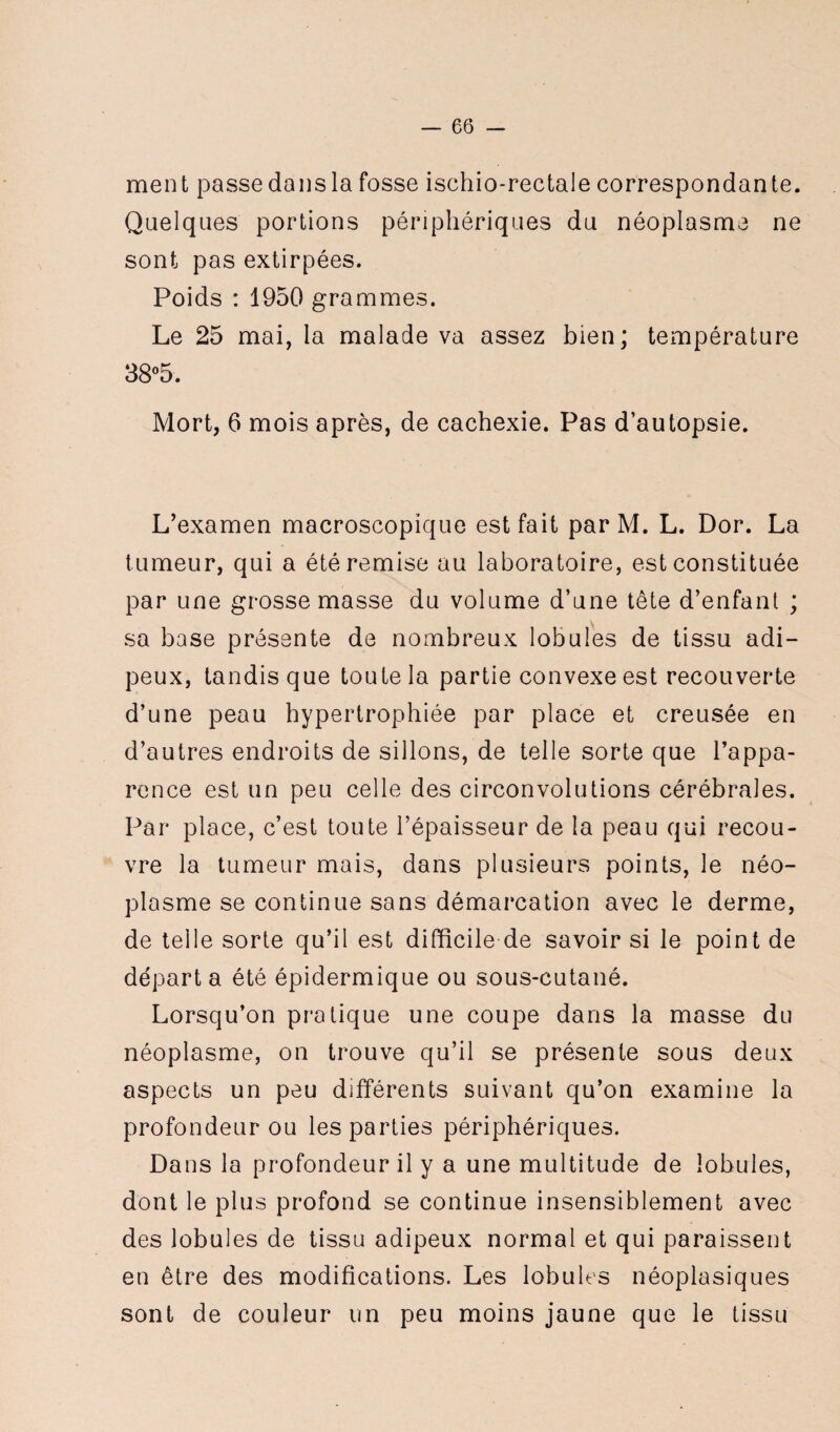 ment passedansla fosse ischio-rectale correspondante. Quelques portions périphériques du néoplasme ne sont pas extirpées. Poids : 1950 grammes. Le 25 mai, la malade va assez bien; température 38°5. Mort, 6 mois après, de cachexie. Pas d’autopsie. L’examen macroscopique est fait par M. L. Dor. La tumeur, qui a été remise au laboratoire, est constituée par une grosse masse du volume d’une tête d’enfant ; sa base présente de nombreux lobules de tissu adi¬ peux, tandis que toute la partie convexe est recouverte d’une peau hypertrophiée par place et creusée en d’autres endroits de sillons, de telle sorte que l’appa¬ rence est un peu celle des circonvolutions cérébrales. Par place, c’est toute l’épaisseur de la peau qui recou¬ vre la tumeur mais, dans plusieurs points, le néo¬ plasme se continue sans démarcation avec le derme, de telle sorte qu’il est difficile de savoir si le point de départa été épidermique ou sous-cutané. Lorsqu’on pratique une coupe dans la masse du néoplasme, on trouve qu’il se présente sous deux aspects un peu différents suivant qu’on examine la profondeur ou les parties périphériques. Dans la profondeur il y a une multitude de lobules, dont le plus profond se continue insensiblement avec des lobules de tissu adipeux normal et qui paraissent en être des modifications. Les lobules néoplasiques sont de couleur un peu moins jaune que le tissu