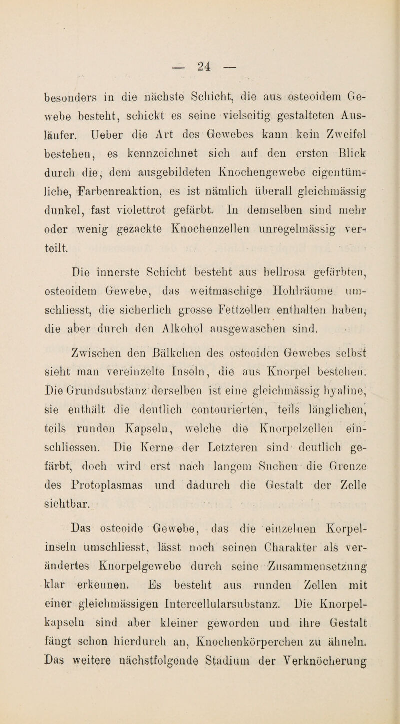 besonders in die nächste Schicht, die aus osteoidem Ge¬ webe besteht, schickt es seine vielseitig gestalteten Aus¬ läufer. Ueber die Art des Gewebes kann kein Zweifel bestehen, es kennzeichnet sich auf den ersten Blick durch die, dem ausgebildeten Knochengewebe eigentüm¬ liche, Farbenreaktion, es ist nämlich überall gleichmässig dunkel, fast violettrot gefärbt. In demselben sind mehr oder wenig gezackte Knochenzellen unregelmässig ver¬ teilt. Die innerste Schicht besteht aus hellrosa gefärbten, osteoidem Gewebe, das weitmaschige Hohlräume um- schliesst, die sicherlich grosse Fettzellen enthalten haben, die aber durch den Alkohol ausgewaschen sind. Zwischen den Bälkehen des osteoiden Gewebes selbst sieht man vereinzelte Inseln, die aus Knorpel bestehen. Die Grundsubstanz derselben ist eine gleichmässig hyaline, sie enthält die deutlich contourierten, teils länglichen, teils runden Kapseln, welche die Knorpelzellen ein- schliessen. Die Kerne der Letzteren sind' deutlich ge¬ färbt, doch wird erst nach langem Suchen die Grenze des Protoplasmas und dadurch die Gestalt der Zelle sichtbar. Das osteoide Gewebe, das die einzelnen Korpel- inseln umschliesst, lässt noch seinen Charakter als ver¬ ändertes Knorpelgewebe durch seine Zusammensetzung klar erkennen. Es besteht aus runden Zellen mit einer gleichmässigen Intercellularsubstanz. Die Knorpel¬ kapseln sind aber kleiner geworden und ihre Gestalt fängt schon hierdurch an, Knochenkörperchen zu ähneln. Das weitere nächstfolgende Stadium der Verknöcherung