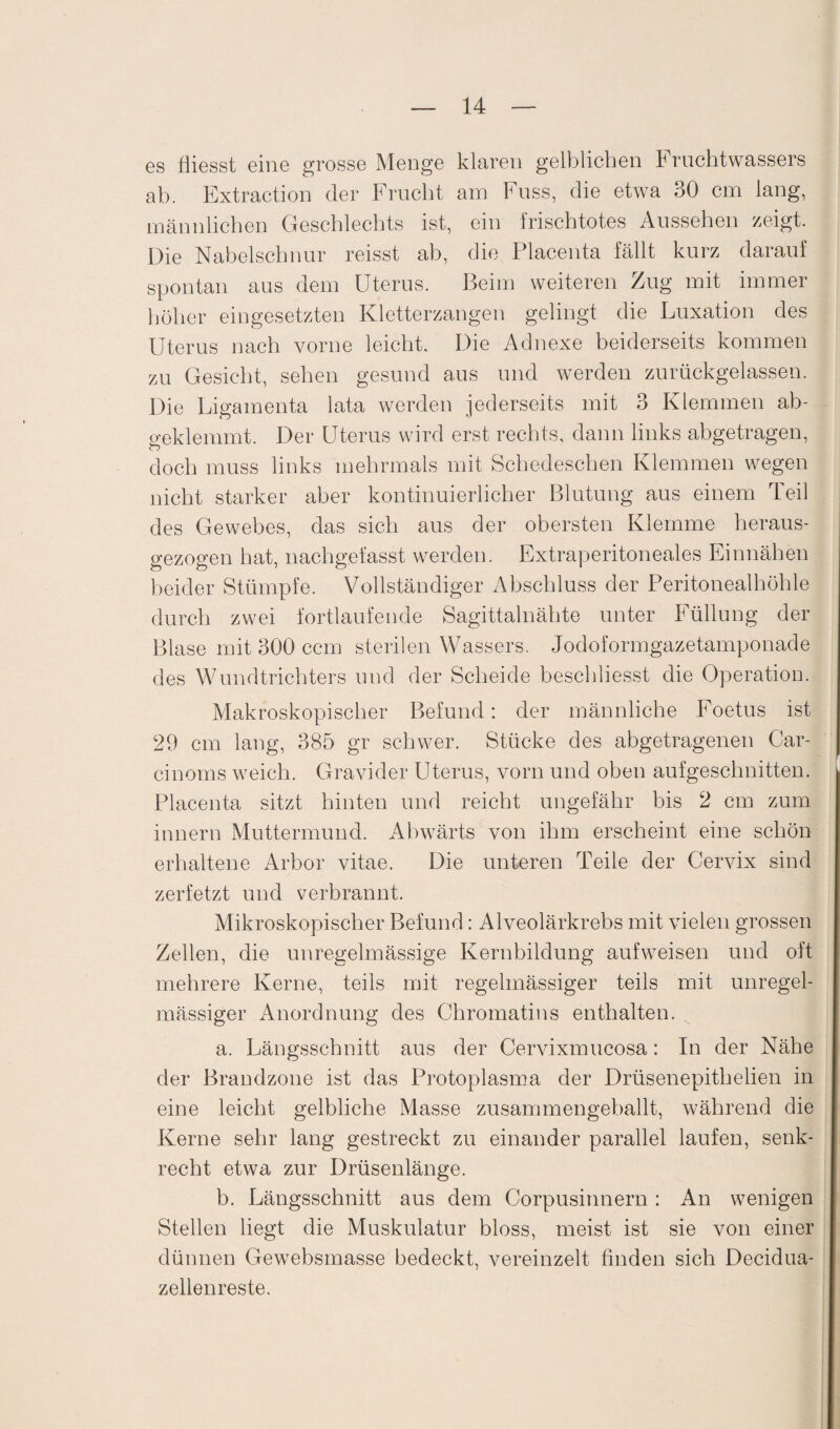 es fliesst eine grosse Menge klaren gelblichen Fruchtwassers ab. Extraction der Frucht am Fuss, die etwa 30 cm lang, männlichen Geschlechts ist, ein frischtotes Aussehen zeigt. Die Nabelschnur reisst ab, die Placenta fällt kurz darauf spontan aus dem Uterus. Beim weiteren Zug mit immer höher eingesetzten Kletterzangen gelingt die Luxation des Uterus nach vorne leicht. Die Adnexe beiderseits kommen zu Gesicht, sehen gesund aus und werden zurückgelassen. Die Ligamenta lata werden jederseits mit 3 Klemmen ab- o'eklemmt. Der Uterus wird erst rechts, dann links abgetragen, doch muss links mehrmals mit Schedeschen Klemmen wegen nicht starker aber kontinuierlicher Blutung aus einem Teil des Gewebes, das sich aus der obersten Klemme heraus¬ gezogen hat, nachgefasst werden. Extraperitoneales Einnähen beider Stümpfe. Vollständiger Abschluss der Peritonealhöhle durch zwei fortlaufende Sagittalnähte unter Füllung der Blase mit 300 ccm sterilen Wassers. Jodoformgazetamponade des Wundtrichters und der Scheide beschliesst die Operation. Makroskopischer Befund: der männliche Foetus ist 29 cm lang, 385 gr schwer. Stücke des abgetragenen Car- cinoms weich. Gravider Uterus, vorn und oben aufgeschnitten. Placenta sitzt hinten und reicht ungefähr bis 2 cm zum innern Muttermund. Abwärts von ihm erscheint eine schön erhaltene Arbor vitae. Die unteren Teile der Cervix sind zerfetzt und verbrannt. Mikroskopischer Befund: Alveolärkrebs mit vielen grossen Zellen, die unregelmässige Kernbildung aufweisen und oft mehrere Kerne, teils mit regelmässiger teils mit unregel¬ mässiger Anordnung des Chromatins enthalten. a. Längsschnitt aus der Cervixmucosa: In der Nähe der Brandzone ist das Protoplasma der Drüsenepithelien in eine leicht gelbliche Masse zusammengeballt, während die Kerne sehr lang gestreckt zu einander parallel laufen, senk¬ recht etwa zur Drüsenlänge. b. Längsschnitt aus dem Corpusinnern: An wenigen Stellen liegt die Muskulatur bloss, meist ist sie von einer dünnen Gewebsmasse bedeckt, vereinzelt finden sich Decidua- zellenreste.