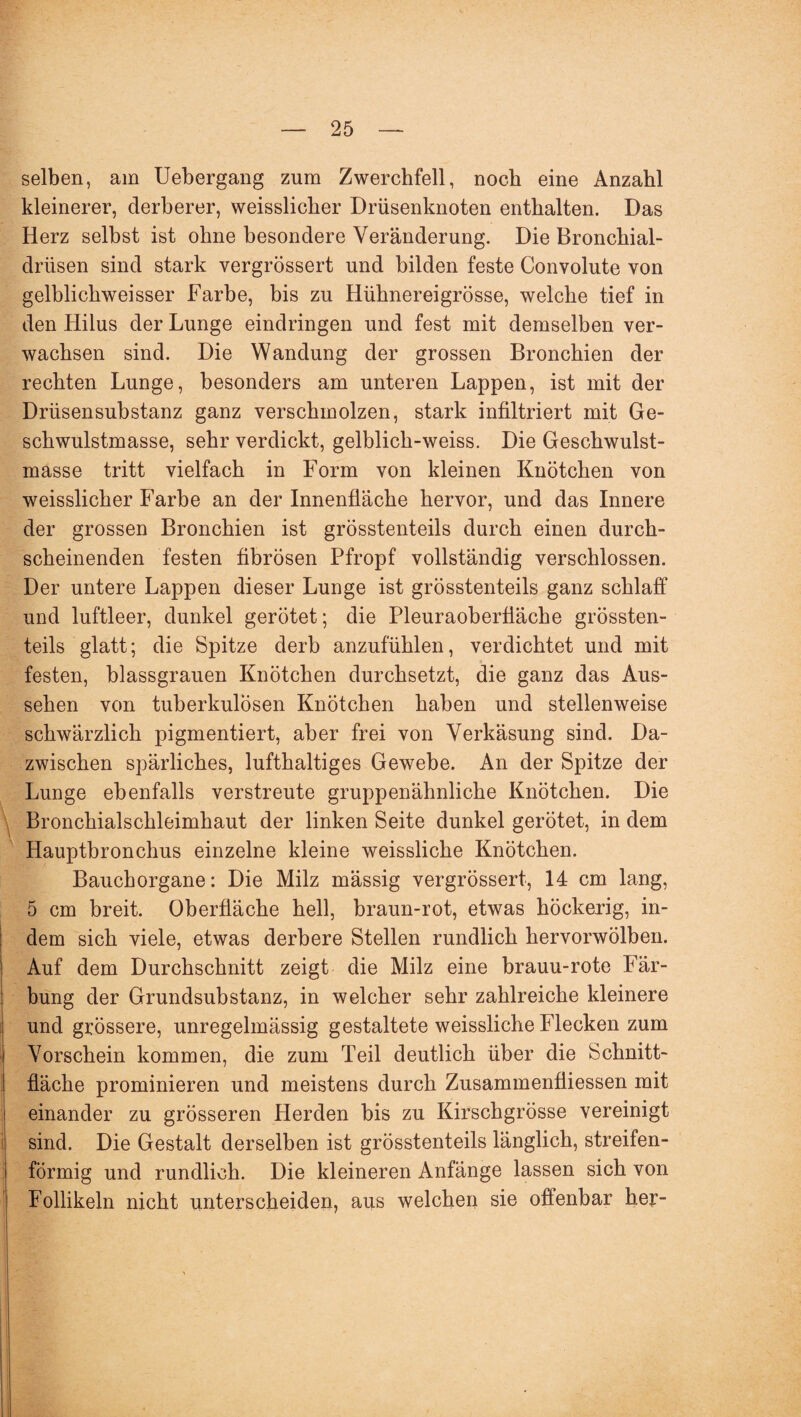 selben, am Uebergang zum Zwerchfell, noch eine Anzahl kleinerer, derberer, weisslicher Drüsenknoten enthalten. Das Herz selbst ist ohne besondere Veränderung. Die Bronchial¬ drüsen sind stark vergrössert und bilden feste Convolute von gelblichweisser Farbe, bis zu Hühnereigrösse, welche tief in den Hilus der Lunge eindringen und fest mit demselben ver¬ wachsen sind. Die Wandung der grossen Bronchien der rechten Lunge, besonders am unteren Lappen, ist mit der Drüsensubstanz ganz verschmolzen, stark infiltriert mit Ge¬ schwulstmasse, sehr verdickt, gelblich-weiss. Die Geschwulst¬ masse tritt vielfach in Form von kleinen Knötchen von weisslicher Farbe an der Innenfläche hervor, und das Innere der grossen Bronchien ist grösstenteils durch einen durch¬ scheinenden festen fibrösen Pfropf vollständig verschlossen. Der untere Lappen dieser Lunge ist grösstenteils ganz schlaff und luftleer, dunkel gerötet; die Pleuraoberfiäche grössten¬ teils glatt; die Spitze derb anzufühlen, verdichtet und mit festen, blassgrauen Knötchen durchsetzt, die ganz das Aus¬ sehen von tuberkulösen Knötchen haben und stellenweise schwärzlich pigmentiert, aber frei von Verkäsung sind. Da¬ zwischen spärliches, lufthaltiges Gewebe. An der Spitze der Lunge ebenfalls verstreute gruppenähnliche Knötchen. Die Bronchialschleimhaut der linken Seite dunkel gerötet, in dem Hauptbronchus einzelne kleine weissliche Knötchen. Bauchorgane: Die Milz mässig vergrössert, 14 cm lang, 5 cm breit. Oberfläche hell, braun-rot, etwas höckerig, in¬ dem sich viele, etwas derbere Stellen rundlich hervorwölben. Auf dem Durchschnitt zeigt die Milz eine brauu-rote Fär¬ bung der Grundsubstanz, in welcher sehr zahlreiche kleinere und grössere, unregelmässig gestaltete weissliche Flecken zum Vorschein kommen, die zum Teil deutlich über die Schnitt¬ fläche prominieren und meistens durch Zusammenflüssen mit einander zu grösseren Herden bis zu Kirschgrösse vereinigt sind. Die Gestalt derselben ist grösstenteils länglich, streifen¬ förmig und rundlich. Die kleineren Anfänge lassen sich von Follikeln nicht unterscheiden, aus welchen sie offenbar her-