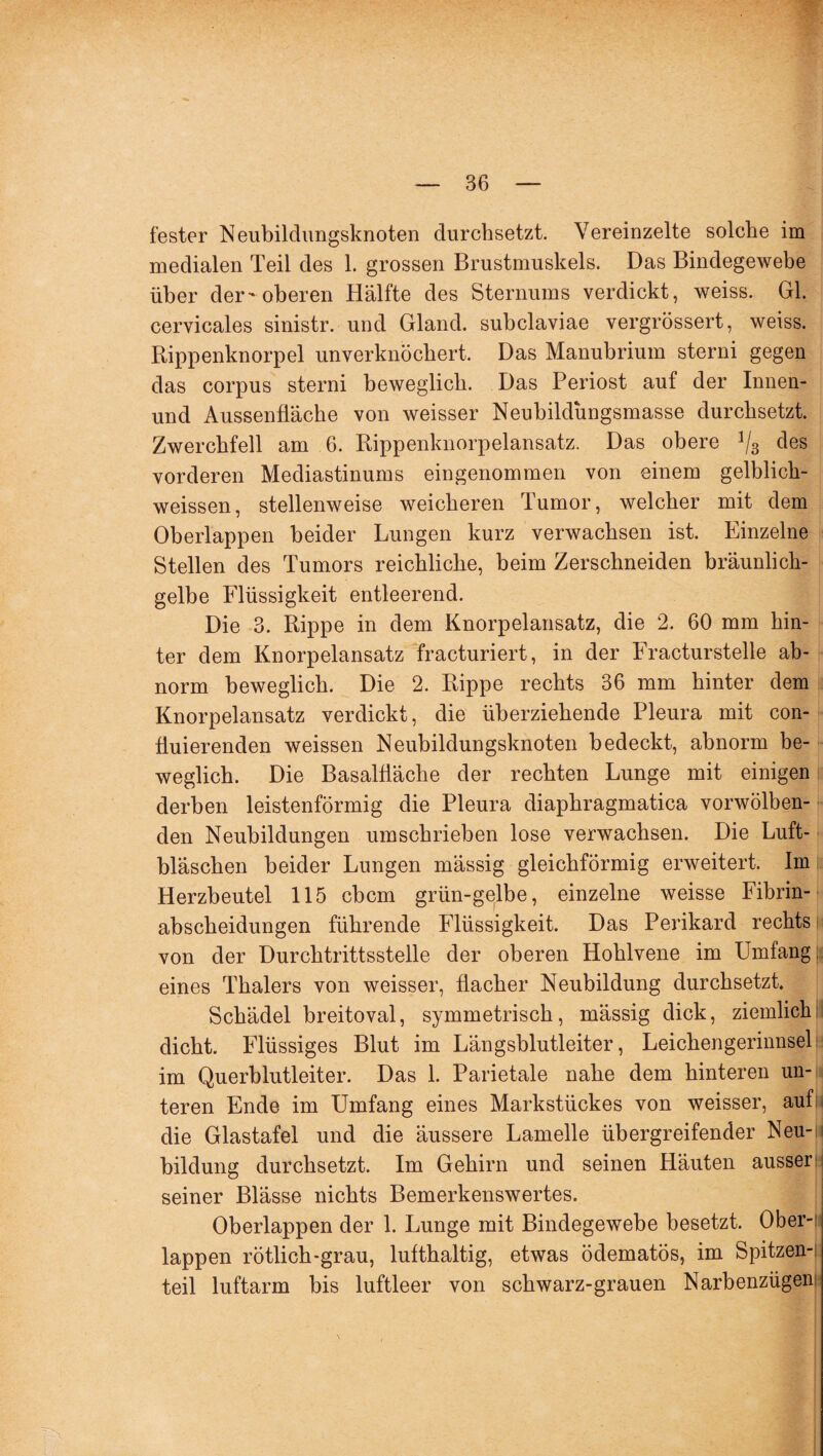 fester Neubildungsknoten durchsetzt. Vereinzelte solche im medialen Teil des 1. grossen Brustmuskels. Das Bindegewebe über der-oberen Hälfte des Sternums verdickt, weiss. GL cervicales sinistr. und Gland. subclaviae vergrössert, weiss. Rippenknorpel unverknöckert. Das Manubrium sterni gegen das corpus sterni beweglich. Das Periost auf der Innen- und Aussenfiache von weisser Neubildungsmasse durchsetzt. Zwerchfell am 6. Rippenknorpelansatz. Das obere 1j3 des vorderen Mediastinums eingenommen von einem gelblich- weissen, stellenweise weicheren Tumor, welcher mit dem Oberlappen beider Lungen kurz verwachsen ist. Einzelne Stellen des Tumors reichliche, beim Zerschneiden bräunlich¬ gelbe Flüssigkeit entleerend. Die 3. Rippe in dem Knorpelansatz, die 2. 60 mm hin¬ ter dem Knorpelansatz fracturiert, in der Fracturstelle ab¬ norm beweglich. Die 2. Rippe rechts 36 mm hinter dem Knorpelansatz verdickt, die überziehende Pleura mit con- üuierenden weissen Neubildungsknoten bedeckt, abnorm be¬ weglich. Die Basalfläche der rechten Lunge mit einigen derben leistenförmig die Pleura diaphragmatica vorwölben¬ den Neubildungen umschrieben lose verwachsen. Die Luft¬ bläschen beider Lungen mässig gleichförmig erweitert. Im Herzbeutel 115 cbcm grün-gelbe, einzelne weisse Fibrin- abscheidungen führende Flüssigkeit. Das Perikard rechts von der Durchtrittsstelle der oberen Hohlvene im Umfang eines Thalers von weisser, flacher Neubildung durchsetzt. Schädel breitoval, symmetrisch, mässig dick, ziemlich dicht. Flüssiges Blut im Längsblutleiter, Leichengerinnsel im Querblutleiter. Das 1. Parietale nahe dem hinteren un¬ teren Ende im Umfang eines Markstückes von weisser, auf die Glastafel und die äussere Lamelle übergreifender Neu¬ bildung durchsetzt. Im Gehirn und seinen Häuten ausser seiner Blässe nichts Bemerkenswertes. Oberlappen der 1. Lunge mit Bindegewebe besetzt. Ober¬ lappen rötlich-grau, lufthaltig, etwas ödematös, im Spitzen¬ teil luftarm bis luftleer von schwarz-grauen Narbenzügen