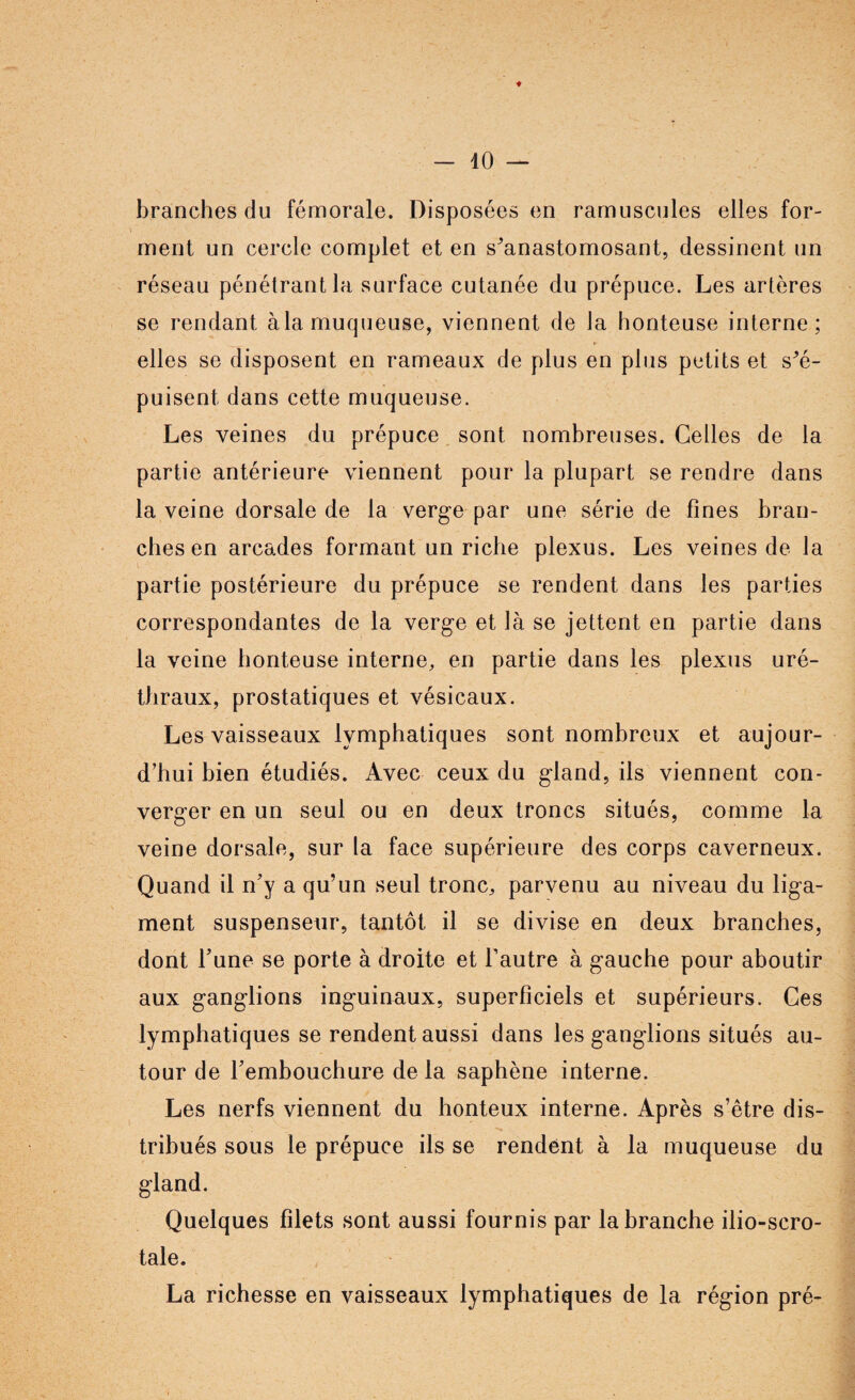 - 40 — branches du fémorale. Disposées en ramuscules elles for¬ ment un cercle complet et en s'anastomosant, dessinent un réseau pénétrant la surface cutanée du prépuce. Les artères se rendant àla muqueuse, viennent de la honteuse interne; elles se disposent en rameaux de plus en plus petits et s*é- puisent dans cette muqueuse. Les veines du prépuce sont nombreuses. Celles de la partie antérieure viennent pour la plupart se rendre dans la veine dorsale de la verge par une série de fines bran¬ ches en arcades formant un riche plexus. Les veines de la partie postérieure du prépuce se rendent dans les parties correspondantes de la verge et là se jettent en partie dans la veine honteuse interne, en partie dans les plexus uré¬ thraux, prostatiques et vésicaux. Les vaisseaux lymphatiques sont nombreux et aujour¬ d’hui bien étudiés. Avec ceux du gland, ils viennent con¬ verger en un seul ou en deux troncs situés, comme la veine dorsale, sur la face supérieure des corps caverneux. Quand il n’y a qu’un seul tronc, parvenu au niveau du liga¬ ment suspenseur, tantôt il se divise en deux branches, dont Tune se porte à droite et l’autre à gauche pour aboutir aux ganglions inguinaux, superficiels et supérieurs. Ces lymphatiques se rendent aussi dans les ganglions situés au¬ tour de l’embouchure de la saphène interne. Les nerfs viennent du honteux interne. Après s’être dis¬ tribués sous le prépuce ils se rendent à la muqueuse du gland. Quelques filets sont aussi fournis par la branche ilio-scro- tale. La richesse en vaisseaux lymphatiques de la région pré-