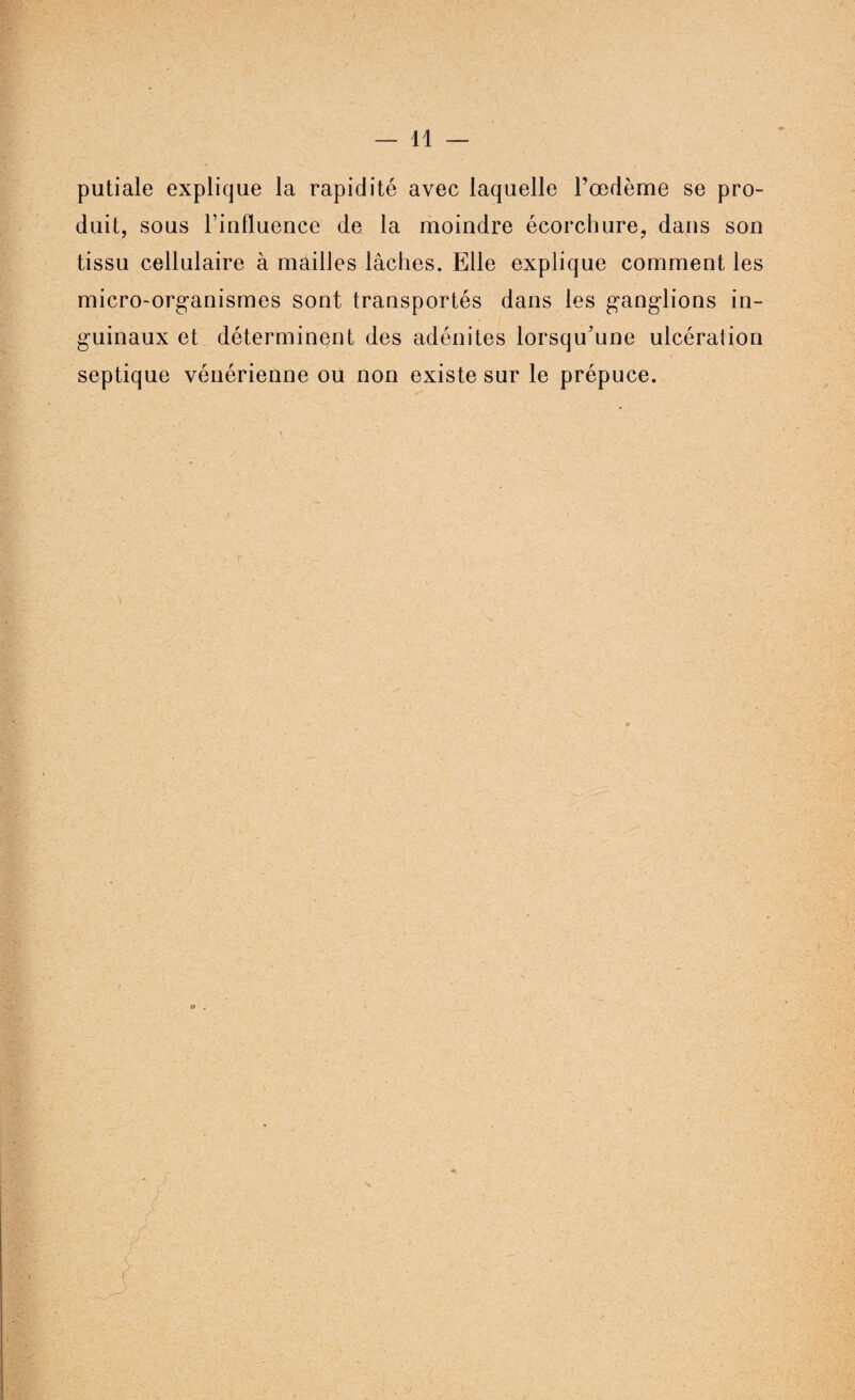 putiale explique la rapidité avec laquelle l’œdème se pro¬ duit, sous l’influence de la moindre écorchure, dans son tissu cellulaire à mailles lâches. Elle explique comment les micro-organismes sont transportés dans les ganglions in¬ guinaux et déterminent des adénites lorsqu'une ulcération septique vénérienne ou non existe sur le prépuce.