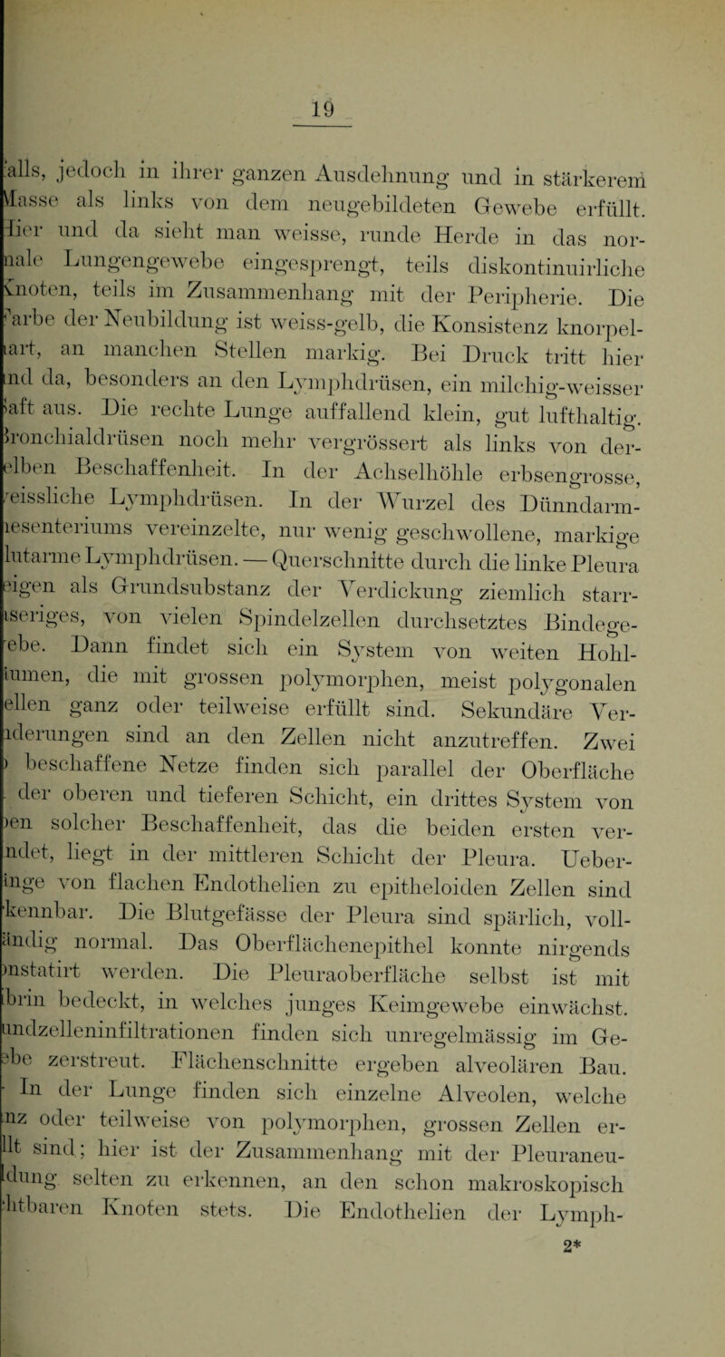 alls, jedoch in ihrer ganzen Ausdehnung und in stärkerem Masse als links von dem neugebildeten Gewebe erfüllt, iier und da sieht man weisse, runde Herde in das nor- nale Lungengewebe eingesprengt, teils diskontinuirliche vnoten, teils im Zusammenhang mit der Peripherie. Die ■ ar^e der Heubildung ist weiss-gelb, die Konsistenz knorpel- ait, an manchen Stellen markig. Bei Druck tritt hier md da, besonders an den Lymphdrüsen, ein milchig-weisser 5aft aus. Die rechte Lunge auffallend klein, gut lufthaltig, honchialdrüsen noch mehr vergrössert als links von der- elbcn Beschaffenheit. In der Achselhöhle erbsengrosse, missliche Lymphdrüsen. In der W urzel des Dünndarm- lesentenums vereinzelte, nur wenig geschwollene, markige lutarme Lymphdrüsen. — Querschnitte durch die linke Pleura dgen als Grundsubstanz der Verdickung ziemlich starr- isenges, von vielen Spindelzellen durchsetztes Bindege ehe. Dann findet sich ein System von weiten Hohl- iumen, die mit grossen polymorphen, meist polygonalen eilen ganz oder teilweise erfüllt sind. Sekundäre Ver- lderungen sind an den Zellen nicht anzutreffen. Zwei ) beschaffene Hetze finden sich parallel der Oberfläche - der oberen und tieferen Schicht, ein drittes System von >en solcher Beschaffenheit, das die beiden ersten ver¬ miet, liegt in der mittleren Schicht der Pleura. Ueber- inge von flachen Endothelien zu epitheloiden Zellen sind kennbar. Die Blutgefässe der Pleura sind spärlich, voll- ändig normal. Das Oberflächenepithel konnte nirgends mstatirt werden. Die Pleuraoberfläche selbst ist mit brin bedeckt, in welches junges Keimgewebe einwächst, undzelleninfiltrationen finden sich unregelmässig im Ge- 3be zerstreut. Flächenschnitte ergeben alveolären Bau. In der Lunge finden sich einzelne Alveolen, welche nz oder teilweise von polymorphen, grossen Zellen er- 11t sind ; hier ist der Zusammenhang mit der Pleuraneu- Idung selten zu erkennen, an den schon makroskopisch 'htbaren Knoten stets. Die Endothelien der Lymph- 2*