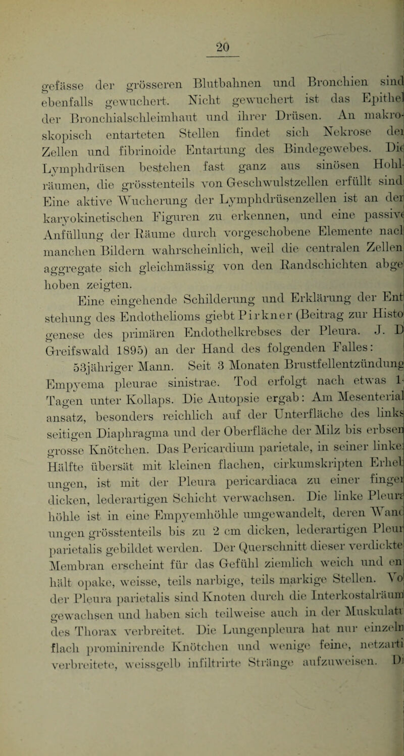 gefässe der grösseren Blutbahnen und Bronchien sind ebenfalls gewuchert. Nicht gewuchert ist das Epithel der Bronchialschleimhaut und ihrer Drüsen. An makroH skopisch entarteten Stellen findet sich Nekrose dei] Zellen und fibrinoide Entartung des Bindegewebes. Dk Lymphdrüsen bestehen fast ganz aus smösen Holilj räumen, die grösstenteils von Geschwulstzellen erfüllt sind Eine aktive Wucherung der Lymphdrüsenzellen ist an der karyokinetischen Figuren zu erkennen, und eine passive Anfüllung der Bäume durch vorgeschobene Elemente nacl manchen Bildern wahrscheinlich, weil die centialen Zellen ap'o’rep’ate sich gleich-massig von den Bandschichten abge hoben zeigten. Eine eingehende Schilderung und Erklärung der Ent stehung des Endothelioms giebt Pirkner (Beitrag zui Histo genese des primären Endothelkrebses der Pleura. J. D Greifswald 1895) an der Hand des folgenden Falles: 53jähriger Mann. Seit 3 Monaten Brustfellentzündung Emp3Tema pleurae sinistrae. Tod erfolgt nach etwas 1 Tagen unter Kollaps. Die Autopsie ergab: Am Mesenterial ansatz, besonders reichlich auf der Unterfläche des links seifigen Diaphragma und der Oberfläche der Milz bis erbsen grosse Knötchen. Das Pericardium parietale, in seiner linke: Hälfte übersät mit kleinen flachen, cirkumskripten Erlief ungen, ist mit der Pleura pericardiaca zu einei fmgei dicken, lederartigen Schicht verwachsen. Die linke Pleun höhle ist in eine Empyemhöhle umgewandelt, deren Warn ungen grösstenteils bis zu 2 cm dicken, lederartigen Pleui parietalis gebildet werden. Der Querschnitt dieser verdickte Membran erscheint für das Gefühl ziemlich weich und en hält opake, weisse, teils narbige, teils markige Stellen. A o der Pleura parietalis sind Knoten durch die Interkostalräum bewachsen und haben sich teilweise auch in der Muskulatr des Thorax verbreitet. Die Lungenpleura hat nur einzeln flach prominirende Knötchen und wenige feine, netzarti verbreitete, weissgelb mfiltrirte Stränge autzuweisen. Di)