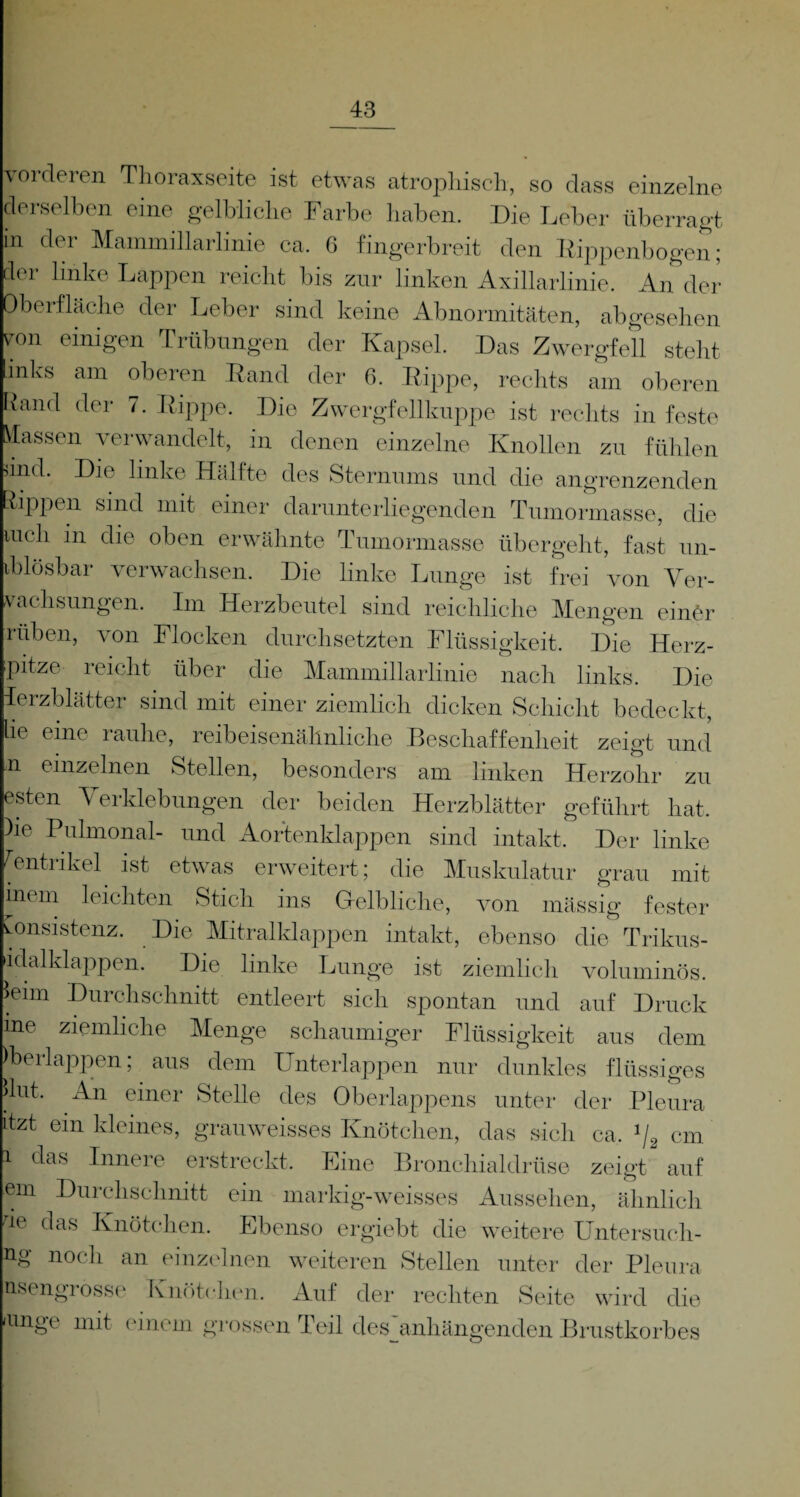 vorderen Thoraxseite ist etwas atrophisch, so dass einzelne derselben eine gelbliche Farbe haben. Die Leber überragt in der Mammillarlinie ca. 6 fingerbreit den Rippenbogen; der linke Lappen reicht bis zur linken Axillarlinie. An der Oberfläche der Leber sind keine Abnormitäten, abgesehen on einigen Trübungen der Kapsel. Das Zwergfell steht inlvs am oberen Eand der 6. Rippe, rechts am oberen Rand der 7. Rippe. Die Zwergfellkuppe ist rechts in feste Massen verwandelt, in denen einzelne Knollen zu fühlen ind. Die linke Hälfte des Sternums und die angrenzenden Rippen sind mit einer darunterliegenden Tumormasse, die mch in die oben erwähnte Tumormasse übergeht, fast un¬ lösbar verwachsen. Die linke Lunge ist frei von Ver¬ wachsungen. Im Herzbeutel sind reichliche Mengen einör rüben, von Flocken durchsetzten Flüssigkeit. Die Herz- pitze reicht über die Mammillarlinie nach links. Die Herzblätter sind mit einer ziemlich dicken Schicht bedeckt, he eine rauhe, reibeisenähnliche Beschaffenheit zeigt und n einzelnen Stellen, besonders am linken Herzohr zu esten Verklebungen der beiden Herzblätter geführt hat. )ie Pulmonal- und Aortenklappen sind intakt. Der linke Ventrikel, ist etwas erweitert; die Muskulatur grau mit inem leichten Stich ins Gelbliche, von mässig fester .onsistenz. Die Mitralklappen intakt, ebenso die Trikus- idalklappen. Die linke Lunge ist ziemlich voluminös, leim Durchschnitt entleert sich spontan und auf Druck ine ziemliche Menge schaumiger Flüssigkeit aus dem Jberlappen; aus dem Unterlappen nur dunkles flüssiges Hut. An einer Stelle des Oberlappens unter der Pleura itzt ein kleines, grauweisses Knötchen, das sich ca. J/2 cm das Innere erstreckt. Eine Bronchialdrüse zeivt auf em Durchschnitt ein markig-weisses Aussehen, ähnlich de das Knötchen. Ebenso ergiebt die weitere Untersueh- ng noch an einzelnen weiteren Stellen unter der Pleura nseno’rosse Knötchen. Auf der rechten Seite wird die iiinge mit einem grossen Teil des anhängenden Brustkorbes