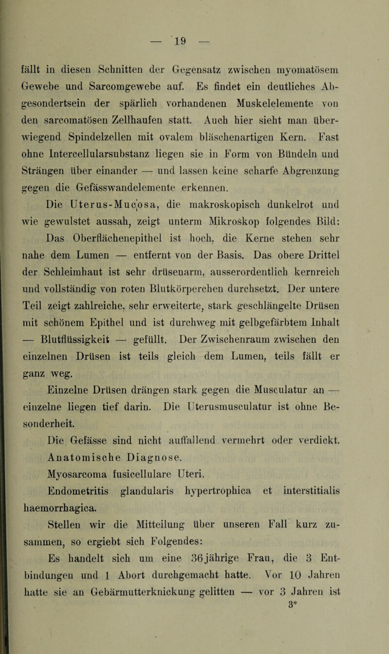 fällt in diesen Schnitten der Gegensatz zwischen myomatösem Gewebe und Sarcomgewebe auf. Es findet ein deutliches Ab¬ gesondertsein der spärlich vorhandenen Muskelelemente von den sarcomatösen Zellhaufen statt. Auch hier sieht man über¬ wiegend Spindelzellen mit ovalem bläschenartigen Kern. Fast ohne lntercellularsubstanz liegen sie in Form von Bündeln und Strängen über einander — und lassen keine scharfe Abgrenzung gegen die Gefässwandelemente erkennen. Die Uterus-Muc’osa, die makroskopisch dunkelrot und wie gewulstet aussah, zeigt unterm Mikroskop folgendes Bild: Das Oberflächenepithel ist hoch, die Kerne stehen sehr nahe dem Lumen — entfernt von der Basis. Das obere Drittel der Schleimhaut ist sehr drüsenarm, ausserordentlich kernreich und vollständig von roten Blutkörperchen durchsetzt. Der untere Teil zeigt zahlreiche, sehr erweiterte, stark geschlängelte Drüsen mit schönem Epithel und ist durchweg mit gelbgefärbtem Inhalt — Blutflüssigkeit — gefüllt. Der Zwischenraum zwischen den einzelnen Drüsen ist teils gleich dem Lumen, teils fällt er ganz weg. Einzelne Drüsen drängen stark gegen die Musculatur an — einzelne liegen tief darin. Die tlterusmusculatur ist ohne Be¬ sonderheit. Die Gefässe sind nicht auffallend vermehrt oder verdickt. Anatomische Diagnose. Myosarcoma fusicellulare Uteri. Endometritis glandularis hypertrophica et interstitialis haemorrhagica. Stellen wir die Mitteilung Uber unseren Fall kurz zu¬ sammen, so ergiebt sich Folgendes: Es handelt sich um eine 36jährige Frau, die 3 Ent¬ bindungen und 1 Abort durchgemacht hatte. Vor 10 Jahren hatte sie an Gebärmutterknickung gelitten — vor 3 Jahren ist 3*