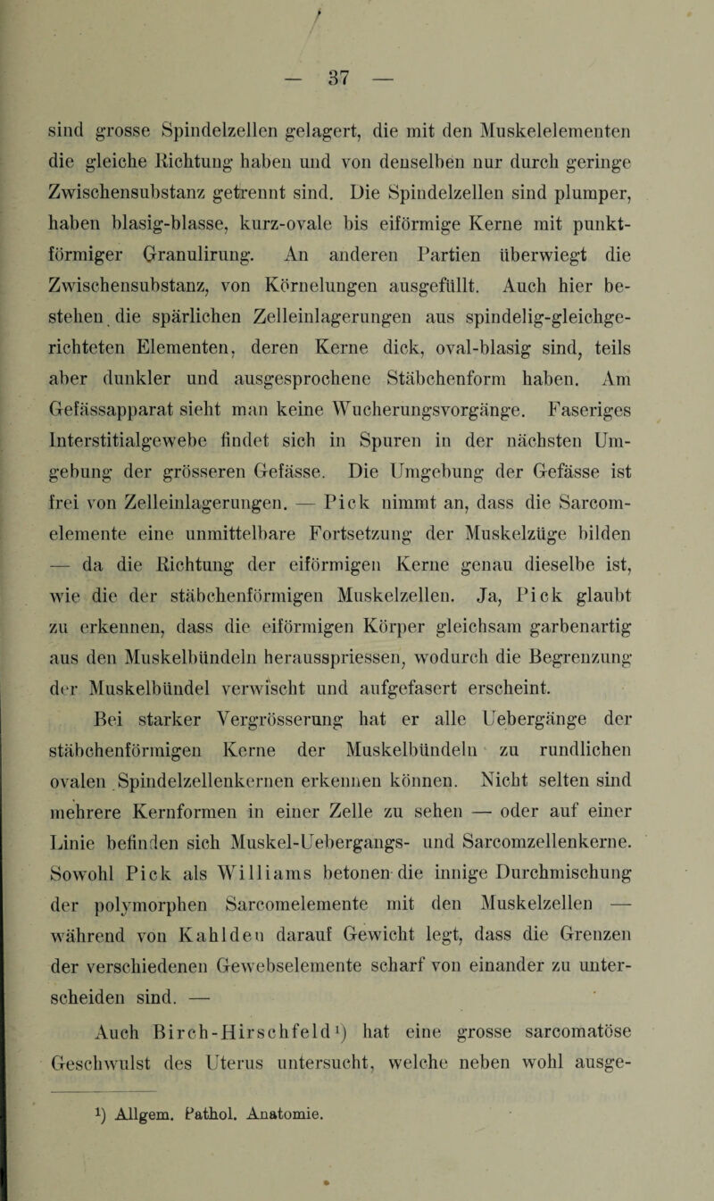 * sind grosse Spindelzellen gelagert, die mit den Muskelelementen die gleiche Richtung haben und von denselben nur durch geringe Zwischensubstanz getrennt sind. Die Spindelzellen sind plumper, haben blasig-blasse, kurz-ovale bis eiförmige Kerne mit punkt¬ förmiger Granulirung. An anderen Partien überwiegt die Zwischensubstanz, von Körnelungen ausgefiillt. Auch hier be¬ stehen die spärlichen Zelleinlagerungen aus spindelig-gleichge- richteten Elementen, deren Kerne dick, oval-blasig sind, teils aber dunkler und ausgesprochene Stäbchenform haben. Am Gefässapparat sieht man keine Wucherungsvorgänge. Faseriges lnterstitialgewebe findet sich in Spuren in der nächsten Um¬ gebung der grösseren Cfefässe. Die Umgebung der Gefässe ist frei von Zelleinlagerungen. — Pick nimmt an, dass die Sarcom- elemente eine unmittelbare Fortsetzung der Muskelzüge bilden — da die Richtung der eiförmigen Kerne genau dieselbe ist, wie die der stäbchenförmigen Muskelzellen. Ja, Pick glaubt zu erkennen, dass die eiförmigen Körper gleichsam garbenartig aus den Muskelbündeln herausspriessen, wodurch die Begrenzung der Muskelbündel verwischt und aufgefasert erscheint. Bei starker Vergrösserung hat er alle Uebergänge der stäbchenförmigen Kerne der Muskelbündeln zu rundlichen ovalen Spindelzellenkernen erkennen können. Nicht selten sind mehrere Kernformen in einer Zelle zu sehen — oder auf einer Linie befinden sich Muskel-Uebergangs- und Sarcomzellenkerne. Sowohl Pick als Williams betonen die innige Durchmischung der polymorphen Sarcomelemente mit den Muskelzellen — während von Kahldeu darauf Gewicht legt, dass die Grenzen der verschiedenen Gewebselemente scharf von einander zu unter¬ scheiden sind. — Auch Birch-Hirschfeld1) hat eine grosse sarcomatöse Geschwulst des Uterus untersucht, welche neben wohl ausge- *) Allgem. Pathol. Anatomie.
