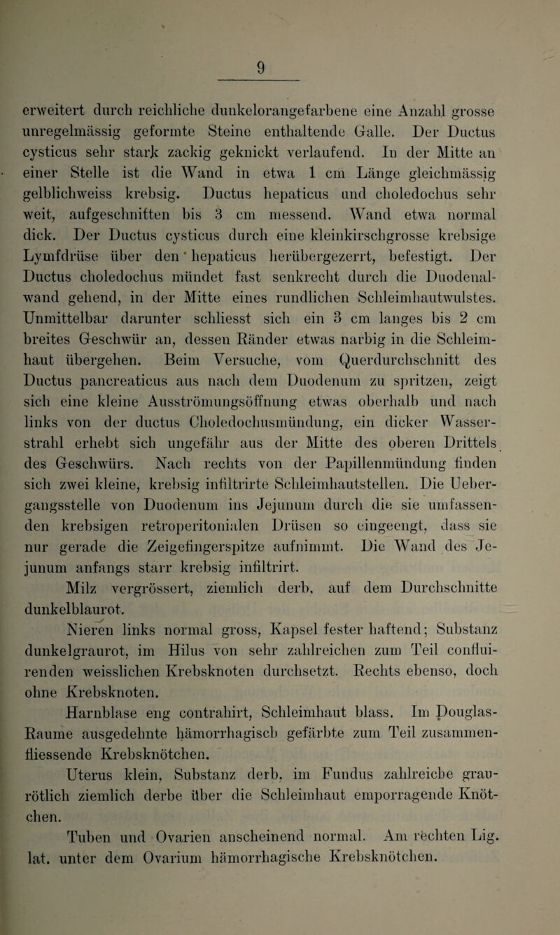 erweitert durch reichliche dunkelorangefarbene eine Anzahl grosse unregelmässig geformte Steine enthaltende Galle. Der Ductus cysticus sehr stark zackig geknickt verlaufend. In der Mitte an einer Stelle ist die Wand in etwa 1 cm Länge gleichmässig gelblichweiss krebsig. Ductus hepaticus und choledochus sehr weit, auf geschnitten bis 3 cm messend. Wand etwa normal dick. Der Ductus cysticus durch eine kleinkirschgrosse krebsige Lymfdrüse über den * hepaticus herübergezerrt, befestigt. Der Ductus choledochus mündet fast senkrecht durch die Duodenal¬ wand gehend, in der Mitte eines rundlichen Schleimhautwulstes. Unmittelbar darunter schliesst sich ein 3 cm langes bis 2 cm breites Geschwür an, dessen Ränder etwas narbig in die Schleim¬ haut übergehen. Beim Versuche, vom Querdurchschnitt des Ductus pancreaticus aus nach dem Duodenum zu spritzen, zeigt sich eine kleine Ausströmungsöffnung etwas oberhalb und nach links von der ductus Choledochusmündung, ein dicker Wasser¬ strahl erhebt sich ungefähr aus der Mitte des oberen Drittels des Geschwürs. Nach rechts von der Papillenmündung finden sich zwei kleine, krebsig infiltrirte Schleimhautstellen. Die Ueber- gangsstelle von Duodenum ins Jejunum durch die sie umfassen¬ den krebsigen retroperitonialen Drüsen so eingeengt, dass sie nur gerade die Zeigefingerspitze aufnimmt. Die Wand des Je¬ junum anfangs starr krebsig infiltrirt. Milz vergrössert, ziemlich derb, auf dem Durchschnitte dunkelblaurot. Nieren links normal gross, Kapsel fester haftend; Substanz dunkelgraurot, im Hilus von sehr zahlreichen zum Teil confiui- renden weissliclien Krebsknoten durchsetzt. Rechts ebenso, doch ohne Krebsknoten. Harnblase eng contrahirt, Schleimhaut blass. Im Douglas- Raume ausgedehnte hämorrhagisch gefärbte zum Teil zusammen- fiiessende Krebsknötchen. Uterus klein, Substanz derb, im Fundus zahlreiche grau- rötlich ziemlich derbe über die Schleimhaut emporragende Knöt¬ chen. Tuben und Ovarien anscheinend normal. Am rechten Lig. lat. unter dem Ovarium hämorrhagische Krebsknötchen.