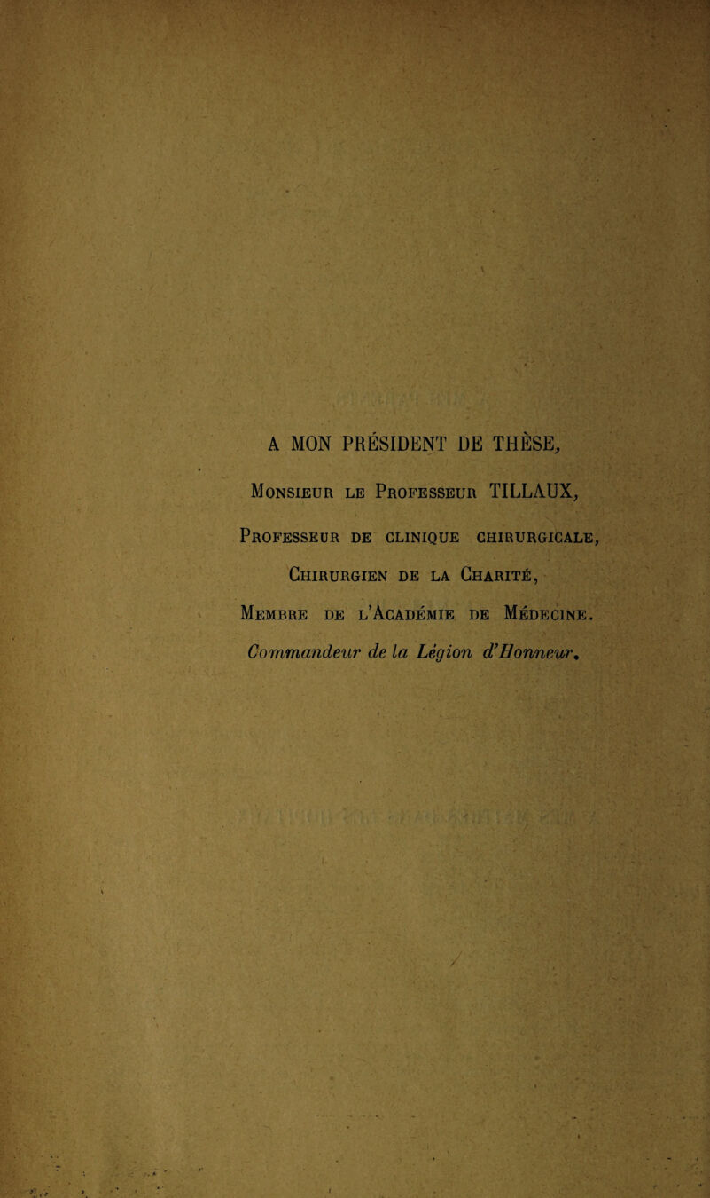 ✓s A MON PRÉSIDENT DE THÈSE, Monsieur le Professeur TILLAUX, Professeur de clinique chirurgicale, Chirurgien de la Charité, Membre de l’Académie de Médecine. Commandeur de la Légion d’Honneur. /