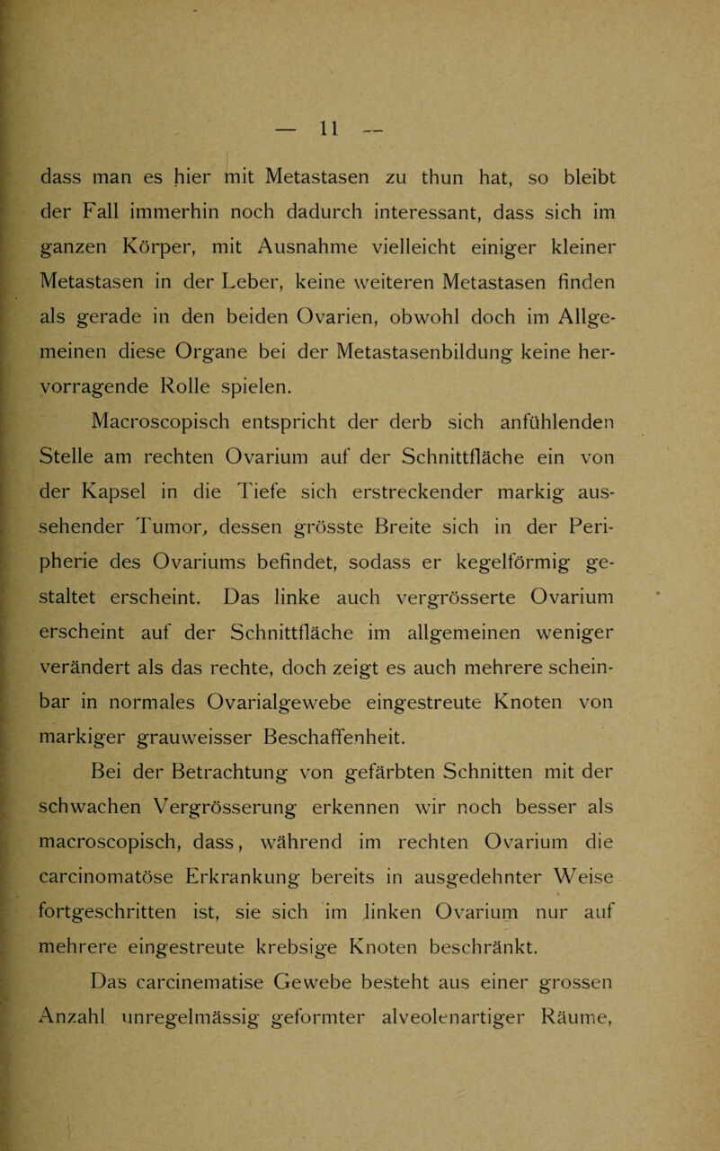 dass man es hier mit Metastasen zu thun hat, so bleibt der Fall immerhin noch dadurch interessant, dass sich im ganzen Körper, mit Ausnahme vielleicht einiger kleiner Metastasen in der Leber, keine weiteren Metastasen finden als gerade in den beiden Ovarien, obwohl doch im Allge¬ meinen diese Organe bei der Metastasenbildung keine her¬ vorragende Rolle spielen. Macroscopisch entspricht der derb sich anfühlenden Stelle am rechten Ovarium auf der Schnittfläche ein von der Kapsel in die Tiefe sich erstreckender markig aus¬ sehender Tumor, dessen grösste Breite sich in der Peri¬ pherie des Ovariums befindet, sodass er kegelförmig ge¬ staltet erscheint. Das linke auch vergrösserte Ovarium erscheint auf der Schnittfläche im allgemeinen weniger verändert als das rechte, doch zeigt es auch mehrere schein¬ bar in normales Ovarialgewebe eingestreute Knoten von markiger grauweisser Beschaffenheit. Bei der Betrachtung von gefärbten Schnitten mit der schwachen Vergrösserung erkennen wir noch besser als macroscopisch, dass, während im rechten Ovarium die carcinomatöse Erkrankung bereits in ausgedehnter Weise fortgeschritten ist, sie sich im linken Ovarium nur auf mehrere eingestreute krebsige Knoten beschränkt. Das carcinematise Gewebe besteht aus einer grossen Anzahl unregelmässig geformter alveolenartiger Räume,