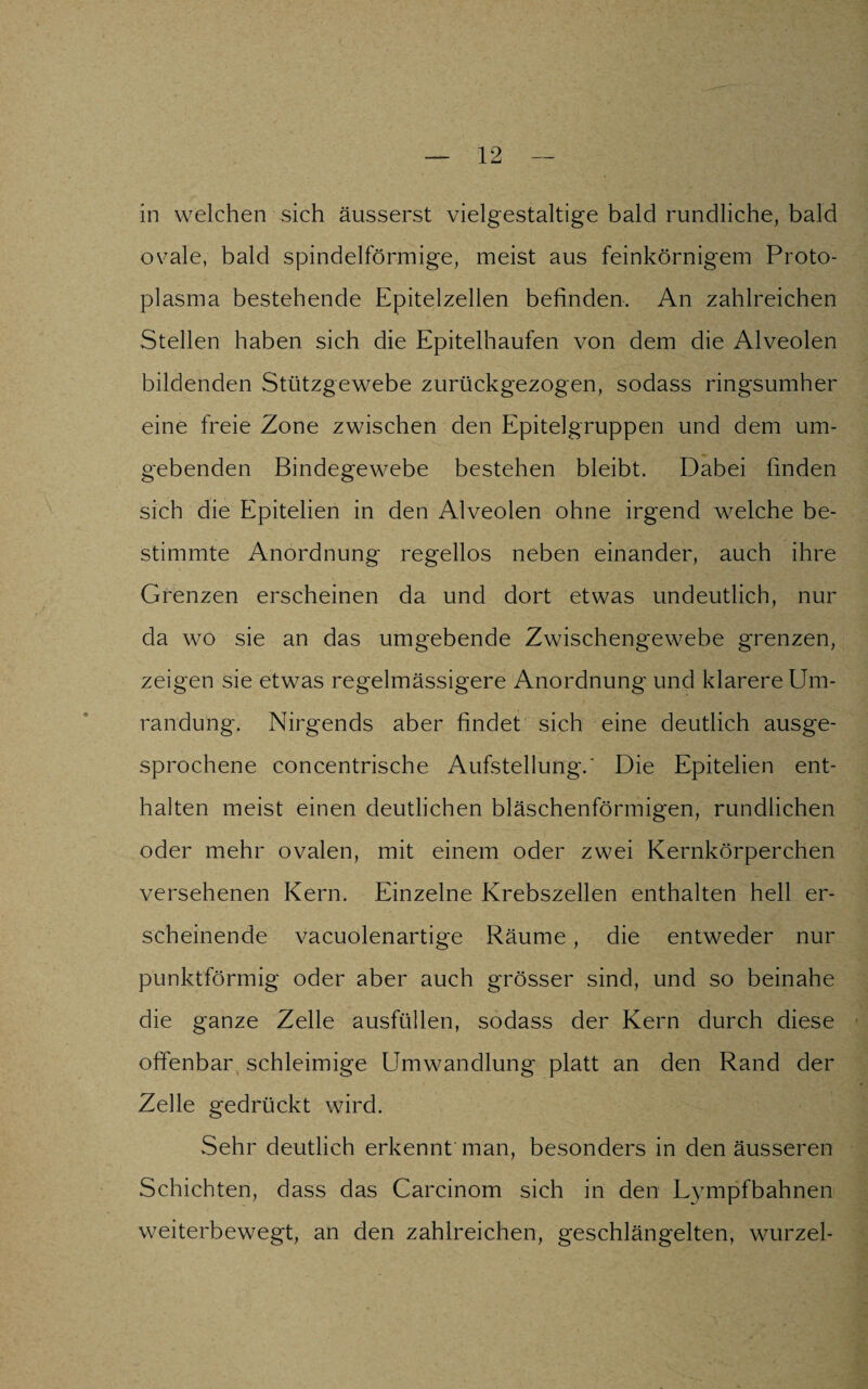 in welchen sich äusserst vielgestaltige bald rundliche, bald ovale, bald spindelförmige, meist aus feinkörnigem Proto¬ plasma bestehende Epitelzellen befinden. An zahlreichen Stellen haben sich die Epitelhaufen von dem die Alveolen bildenden Stützgewebe zurückgezogen, sodass ringsumher eine freie Zone zwischen den Epiteigruppen und dem um¬ gebenden Bindegewebe bestehen bleibt. Dabei finden sich die Epitelien in den Alveolen ohne irgend welche be¬ stimmte Anordnung regellos neben einander, auch ihre Grenzen erscheinen da und dort etwas undeutlich, nur da wo sie an das umgebende Zwischengewebe grenzen, zeigen sie etwas regelmässigere Anordnung und klarere Um¬ randung. Nirgends aber findet sich eine deutlich ausge¬ sprochene concentrische Aufstellung.' Die Epitelien ent¬ halten meist einen deutlichen bläschenförmigen, rundlichen oder mehr ovalen, mit einem oder zwei Kernkörperchen versehenen Kern. Einzelne Krebszellen enthalten hell er¬ scheinende vacuolenartige Räume, die entweder nur punktförmig oder aber auch grösser sind, und so beinahe die ganze Zelle ausfüllen, sodass der Kern durch diese offenbar schleimige Umwandlung platt an den Rand der Zelle gedrückt wird. Sehr deutlich erkennt man, besonders in den äusseren Schichten, dass das Carcinom sich in den Lympfbahnen weiterbewegt, an den zahlreichen, geschlängelten, wurzel-