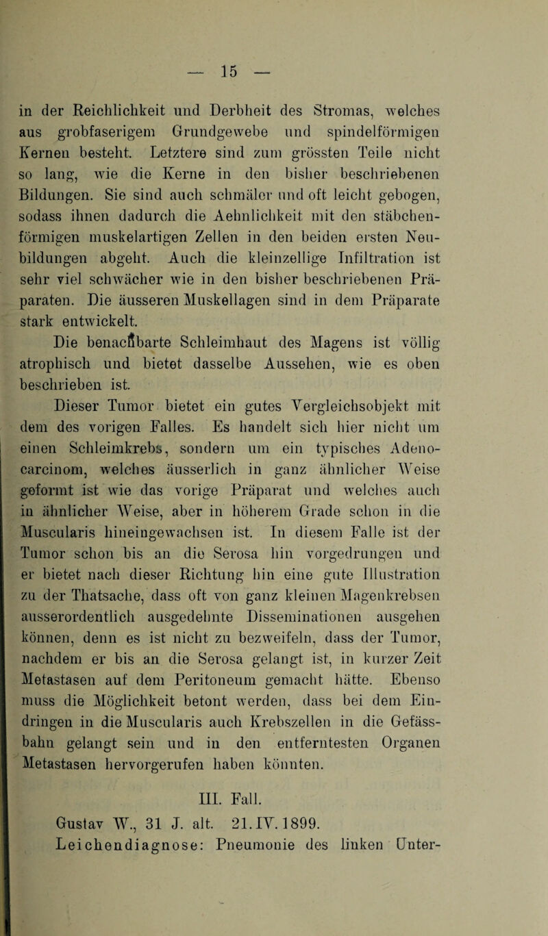 in der Reichlichkeit und Derbheit des Stromas, welches aus grobfaserigem Grundgewebe und spindelförmigen Kernen besteht. Letztere sind zum grössten Teile nicht so lang, wie die Kerne in den bisher beschriebenen Bildungen. Sie sind auch schmäler und oft leicht gebogen, sodass ihnen dadurch die Aehnlichkeit mit den stäbchen¬ förmigen muskelartigen Zellen in den beiden ersten Neu¬ bildungen abgeht. Auch die kleinzellige Infiltration ist sehr viel schwächer wie in den bisher beschriebenen Prä¬ paraten. Die äusseren Muskellagen sind in dem Präparate stark entwickelt. Die benachbarte Schleimhaut des Magens ist völlig atrophisch und bietet dasselbe Aussehen, wie es oben beschrieben ist. Dieser Tumor bietet ein gutes Yergleichsobjekt mit dem des vorigen Palles. Es handelt sich hier nicht um einen Schleimkrebs, sondern um ein typisches Adeno- carcinom, welches äusserlich in ganz ähnlicher Weise geformt ist wie das vorige Präparat und welches auch in ähnlicher AYeise, aber in höherem Grade schon in die Muscularis hineingewachsen ist. In diesem Falle ist der Tumor schon bis an die Serosa hin vorgedrungen und er bietet nach dieser Richtung hin eine gute Illustration zu der Thatsache, dass oft von ganz kleinen Magenkrebsen ausserordentlich ausgedehnte Disseminationen ausgehen können, denn es ist nicht zu bezweifeln, dass der Tumor, nachdem er bis an die Serosa gelangt ist, in kurzer Zeit Metastasen auf dem Peritoneum gemacht hätte. Ebenso muss die Möglichkeit betont werden, dass bei dem Ein¬ dringen in die Muscularis auch Krebszellen in die Gefäss- bahn gelangt sein und in den entferntesten Organen Metastasen hervorgerufen haben könnten. III. Fall. Gustav W., 31 J. alt. 21. IY. 1899. Leichendiagnose: Pneumonie des linken Unter-