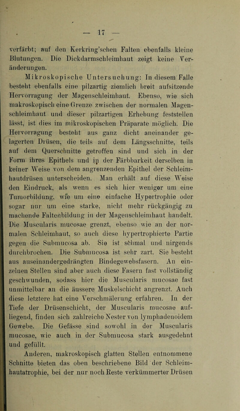 verfärbt; auf den Kerkring’schen Falten ebenfalls kleine Blutungen. Die Dickdarmscbleimhaut zeigt keine Ver¬ änderungen. Mikroskopische Untersuchung: In diesem Falle besteht ebenfalls eine pilzartig ziemlich breit aufsitzende Hervorragung der Magenschleimhaut. Ebenso, wie sich makroskopisch eine Grenze zwischen der normalen Magen¬ schleimhaut und dieser pilzartigen Erhebung feststellen lässt, ist dies im mikroskopischen Präparate möglich. Die Hervorragung besteht aus ganz dicht aneinander ge¬ lagerten Drüsen, die teils auf dem Längsschnitte, teils auf dem Querschnitte getroffen sind und sich in der Form ihres Epithels und in der Färbbarkeit derselben in keiner Weise von dem angrenzenden Epithel der Schleim¬ hautdrüsen unterscheiden. Man erhält auf diese Weise den Eindruck, als wenn es sich hier weniger um eine Tumorbildung, wie um eine einfache Hypertrophie oder sogar nur um eine starke, nicht mehr rückgängig zu machende Faltenbildung in der Magenschleimhaut handelt. Die Muscularis mucosae grenzt, ebenso wie an der nor¬ malen Schleimhaut, so auch diese hypertrophierte Partie gegen die Submucosa ab. Sie ist söhmal und nirgends durchbrochen. Die Submucosa ist sehr zart. Sie besteht aus auseinandergedrängten Bindegewebsfasern. An ein¬ zelnen Stellen sind aber auch diese Fasern fast vollständig geschwunden, sodass hier die Muscularis mucosae fast unmittelbar an die äussere Muskelschicht angrenzt. Auch diese letztere hat eine Verschmälerung erfahren. In der Tiefe der Drüsenschicht, der Muscularis mucosae auf¬ liegend, finden sich zahlreiche Nester von lymphadenoidem Gewebe. Die Gefässe sind sowohl in der Muscularis mucosae, wie auch in der Submucosa stark ausgedehnt und gefüllt. Anderen, makroskopisch glatten Stellen entnommene Schnitte bieten das oben beschriebene Bild der Schleim¬ hautatrophie, bei der nur noch Beste verkümmerter Drüsen