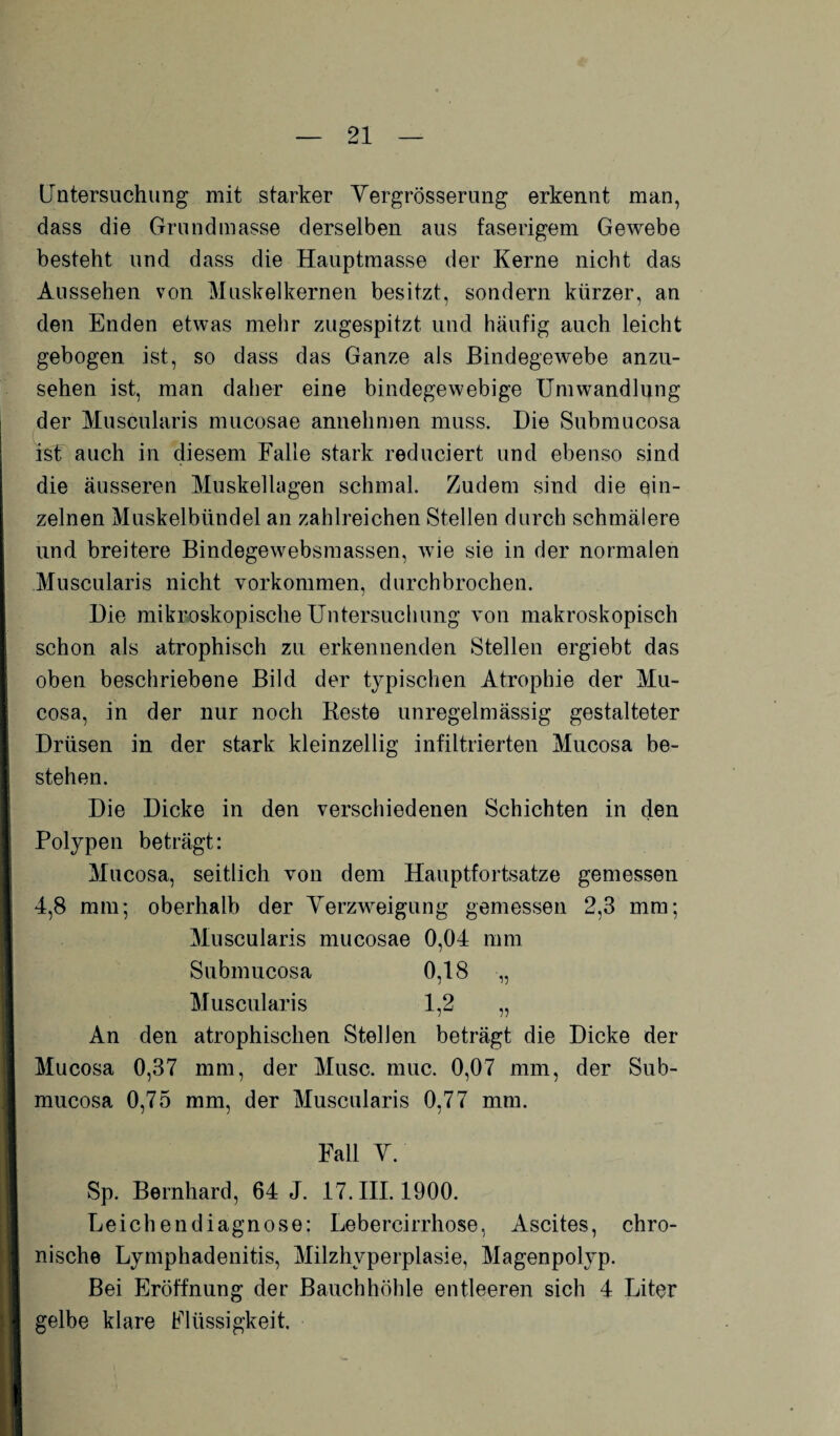 Untersuchung mit starker Yergrösserung erkennt man, dass die Grundmasse derselben aus faserigem Gewebe besteht und dass die Hauptmasse der Kerne nicht das Aussehen von Muskelkernen besitzt, sondern kürzer, an den Enden etwas mehr zugespitzt und häufig auch leicht gebogen ist, so dass das Ganze als Bindegewebe anzu¬ sehen ist, man daher eine bindegewebige Umwandlung der Muscularis mucosae annehmen muss. Die Submucosa Ist auch in diesem Falle stark reduciert und ebenso sind die äusseren Muskellagen schmal. Zudem sind die ein¬ zelnen Muskelbündel an zahlreichen Stellen durch schmälere und breitere Bindegewebsmassen, wie sie in der normalen Muscularis nicht Vorkommen, durchbrochen. Die mikroskopische Untersuchung von makroskopisch schon als atrophisch zu erkennenden Stellen ergiebt das oben beschriebene Bild der typischen Atrophie der Mu- cosa, in der nur noch Reste unregelmässig gestalteter Drüsen in der stark kleinzellig infiltrierten Mucosa be¬ stehen. Die Dicke in den verschiedenen Schichten in den Polypen beträgt: Mucosa, seitlich von dem Hauptfortsatze gemessen 4,8 mm; oberhalb der Verzweigung gemessen 2,3 mm; Muscularis mucosae 0,04 mm Submucosa 0,18 „ Muscularis 1,2 „ An den atrophischen Stellen beträgt die Dicke der Mucosa 0,37 mm, der Muse. muc. 0,07 mm, der Sub¬ mucosa 0,75 mm, der Muscularis 0,77 mm. Fall Y. Sp. Bernhard, 64 J. 17. III. 1900. Leichendiagnose; Lebercirrhose, Ascites, chro¬ nische Lymphadenitis, Milzhyperplasie, Magenpolyp. Bei Eröffnung der Bauchhöhle entleeren sich 4 Liter gelbe klare Flüssigkeit.