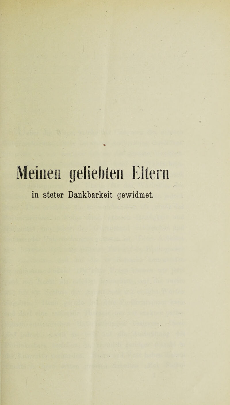 Meinen geliebten Eltern in steter Dankbarkeit gewidmet.